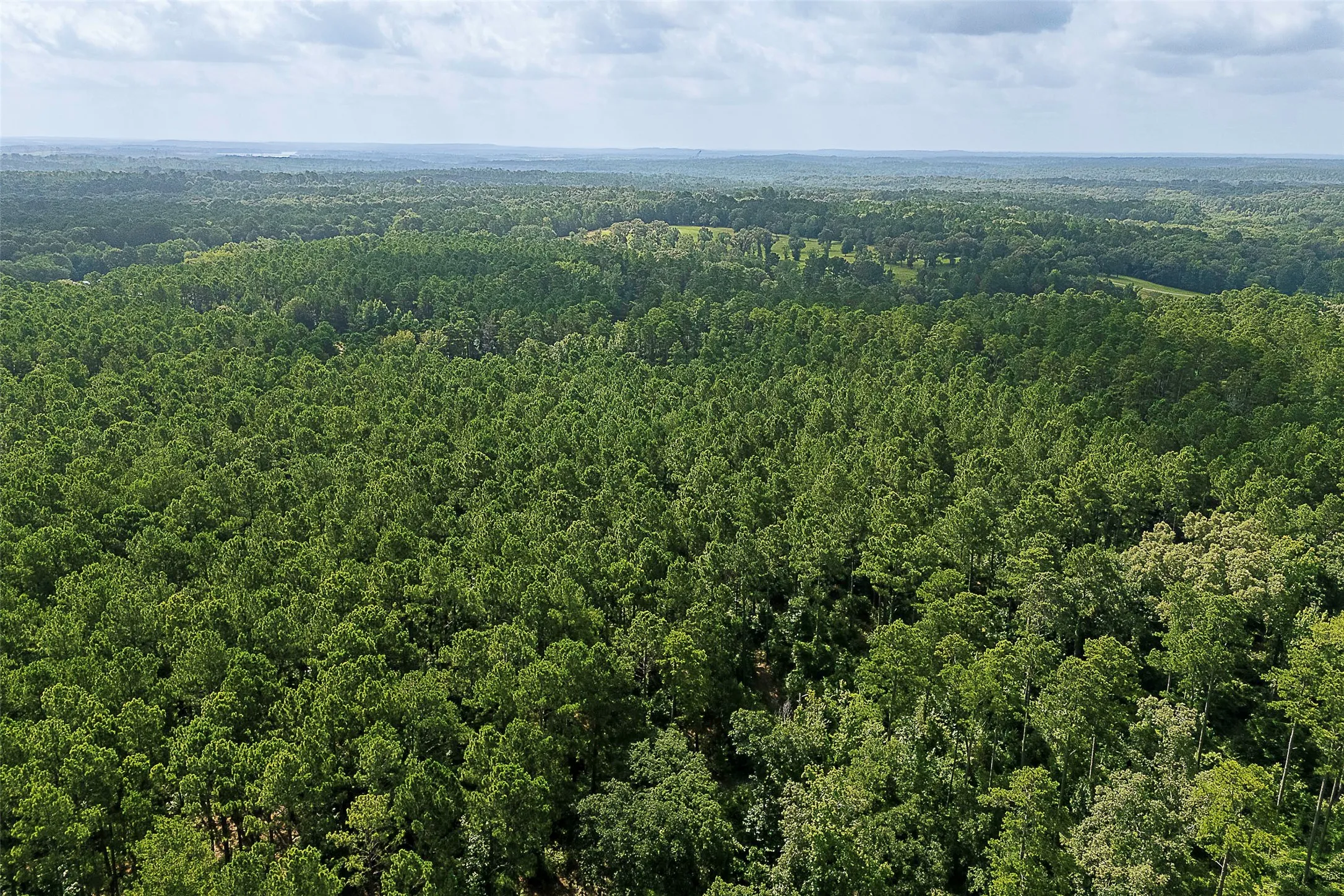 Unimproved Land For Sale in Rusk County , 00 County Road 2136, Tatum, Texas 75691, 0, 0, Garage spaces, 0 Sqft, built in 0, Price $1,150,000, mls#21322786, Real Estate Agent in Tatum, Homes For Sale in Rusk county, Homes For Sale in Tatum, Realtor in Tatum Texas, Real Estate Brokerage Independent Realty Texas, Luminita Cordes Realtor