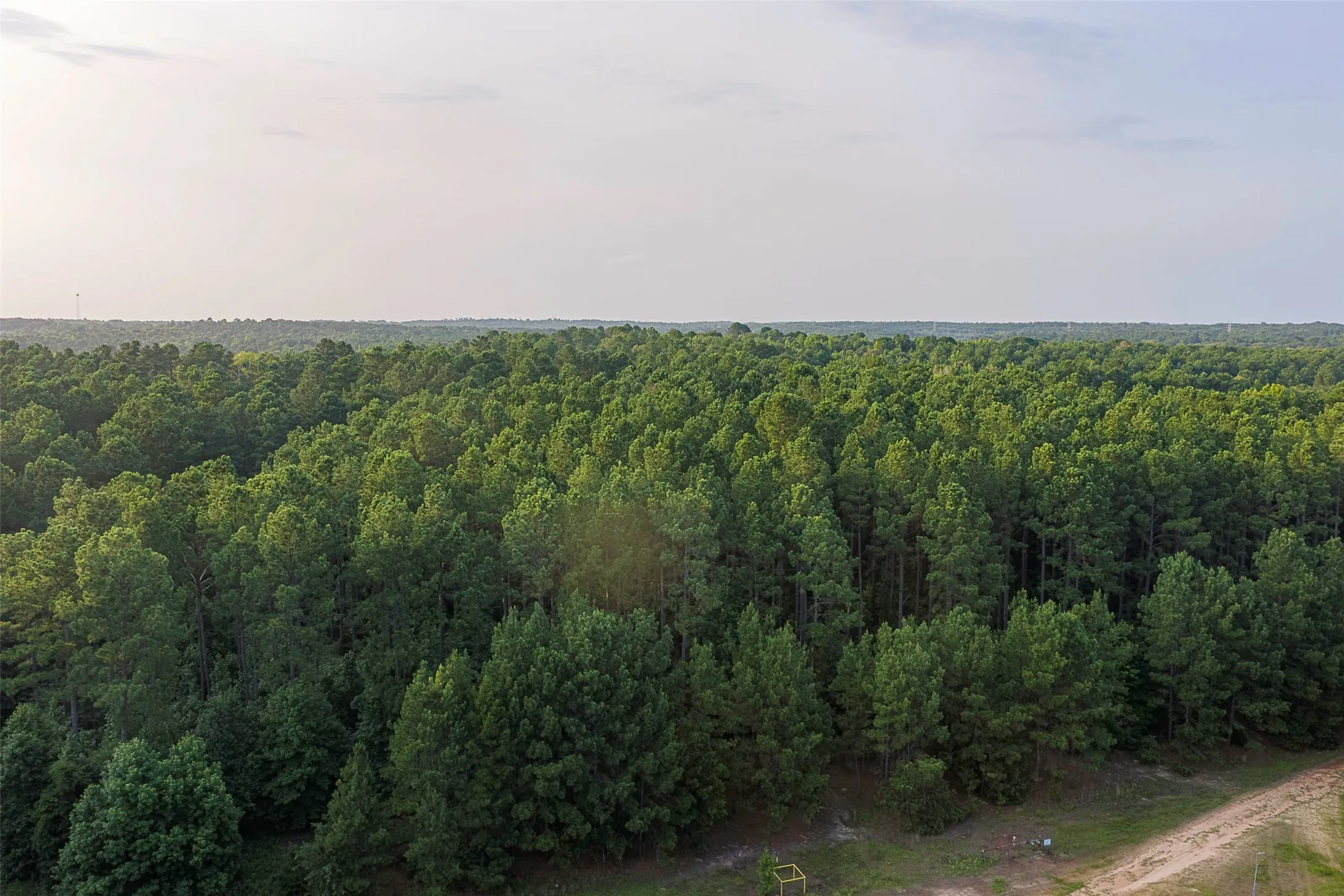 Unimproved Land For Sale in Rusk County , 00 County Road 2136, Tatum, Texas 75691, 0, 0, Garage spaces, 0 Sqft, built in 0, Price $1,150,000, mls#21322786, Real Estate Agent in Tatum, Homes For Sale in Rusk county, Homes For Sale in Tatum, Realtor in Tatum Texas, Real Estate Brokerage Independent Realty Texas, Luminita Cordes Realtor