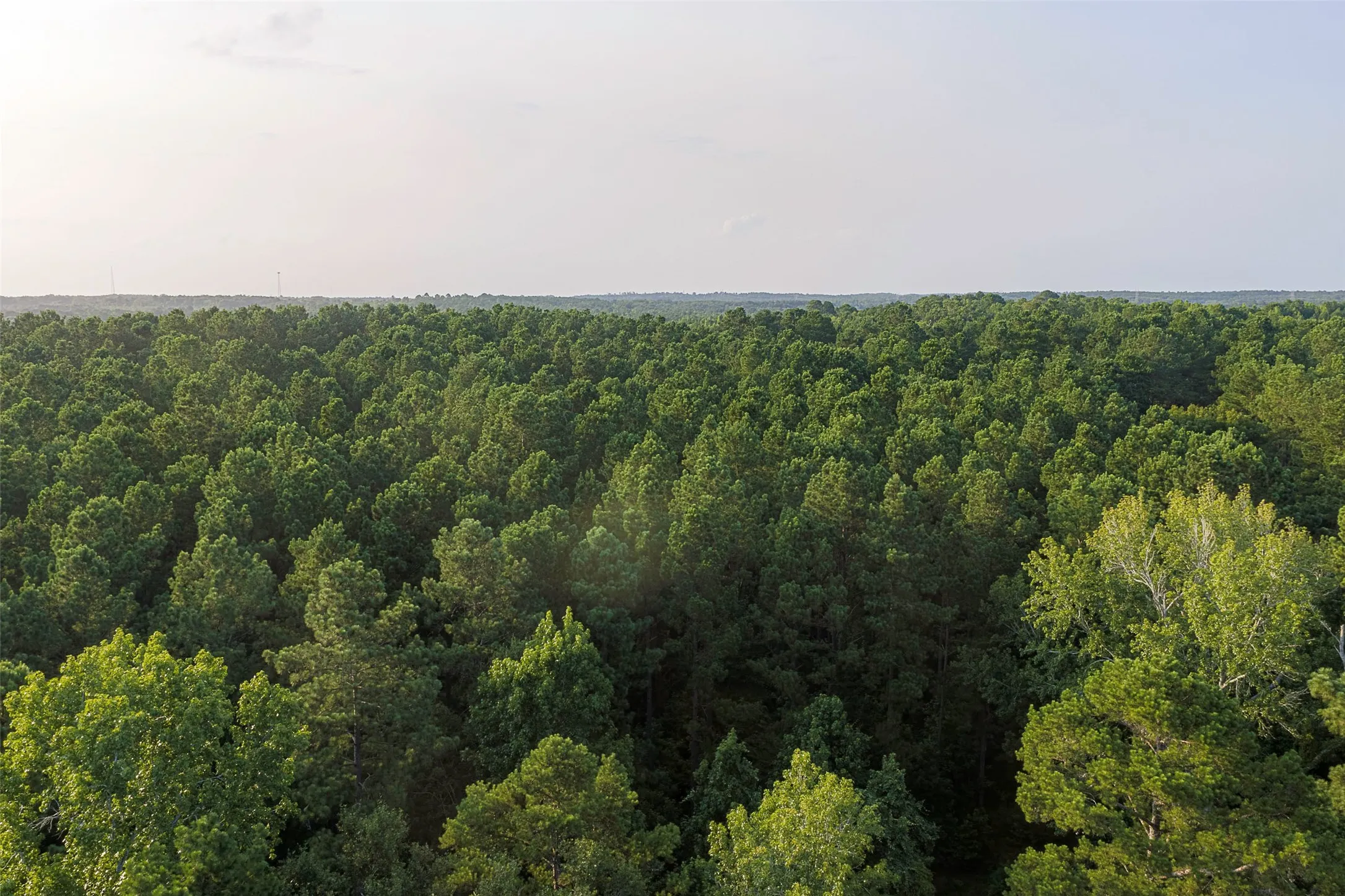 Unimproved Land For Sale in Rusk County , 00 County Road 2136, Tatum, Texas 75691, 0, 0, Garage spaces, 0 Sqft, built in 0, Price $1,150,000, mls#21322786, Real Estate Agent in Tatum, Homes For Sale in Rusk county, Homes For Sale in Tatum, Realtor in Tatum Texas, Real Estate Brokerage Independent Realty Texas, Luminita Cordes Realtor