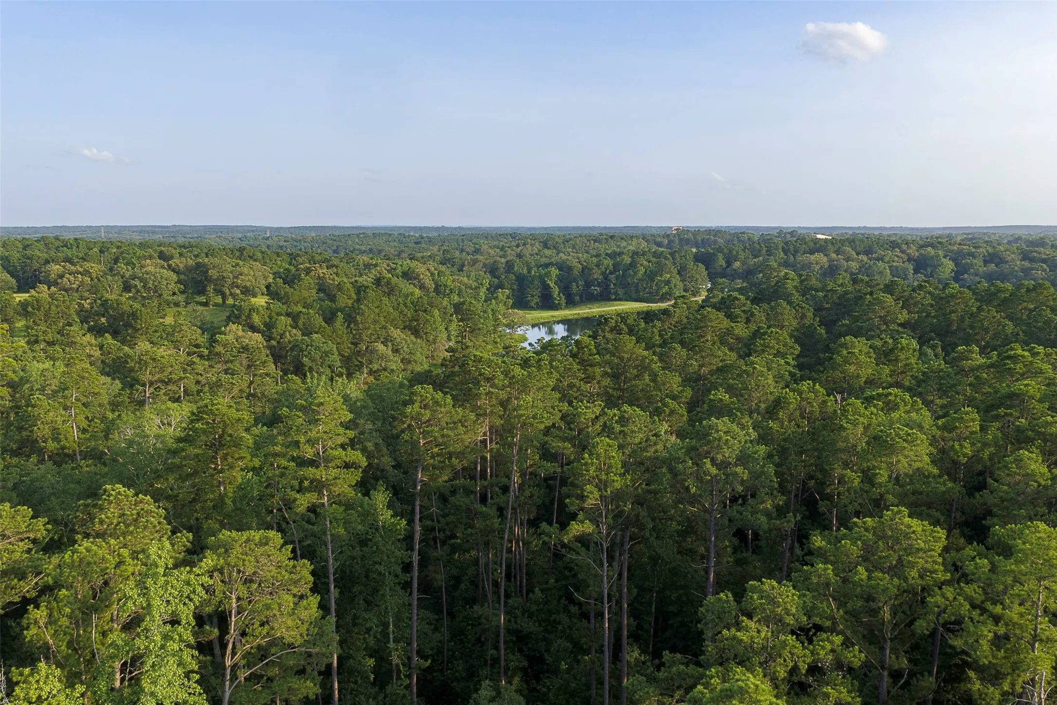 Unimproved Land For Sale in Rusk County , 00 County Road 2136, Tatum, Texas 75691, 0, 0, Garage spaces, 0 Sqft, built in 0, Price $1,150,000, mls#21322786, Real Estate Agent in Tatum, Homes For Sale in Rusk county, Homes For Sale in Tatum, Realtor in Tatum Texas, Real Estate Brokerage Independent Realty Texas, Luminita Cordes Realtor