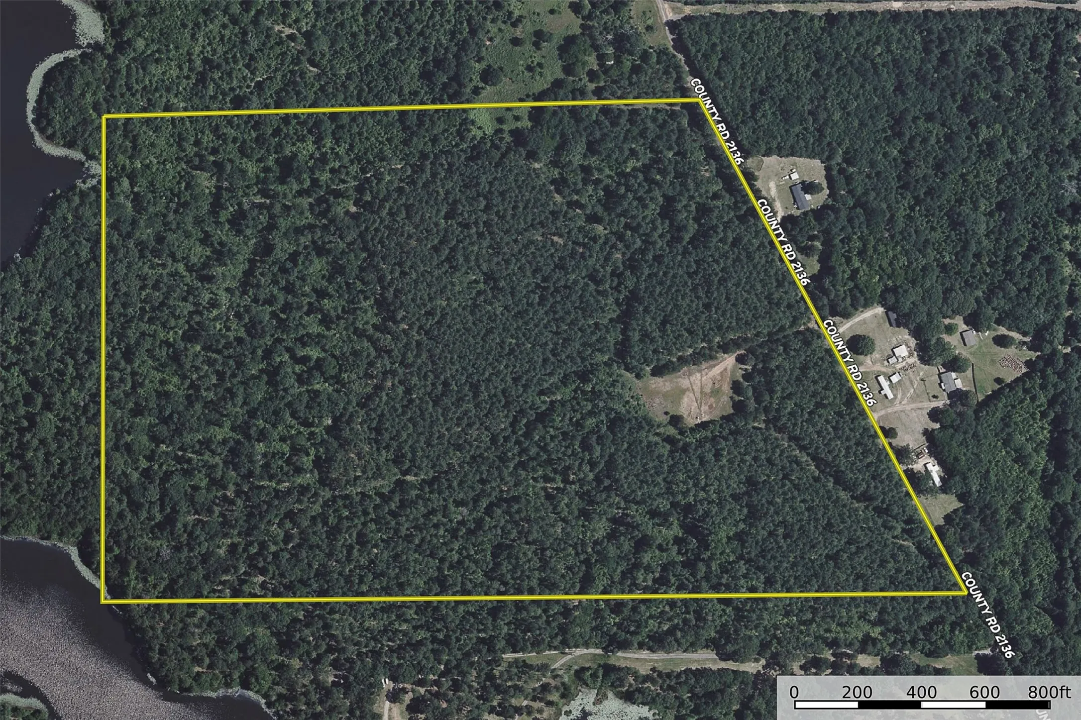 Unimproved Land For Sale in Rusk County , 00 County Road 2136, Tatum, Texas 75691, 0, 0, Garage spaces, 0 Sqft, built in 0, Price $1,150,000, mls#21322786, Real Estate Agent in Tatum, Homes For Sale in Rusk county, Homes For Sale in Tatum, Realtor in Tatum Texas, Real Estate Brokerage Independent Realty Texas, Luminita Cordes Realtor