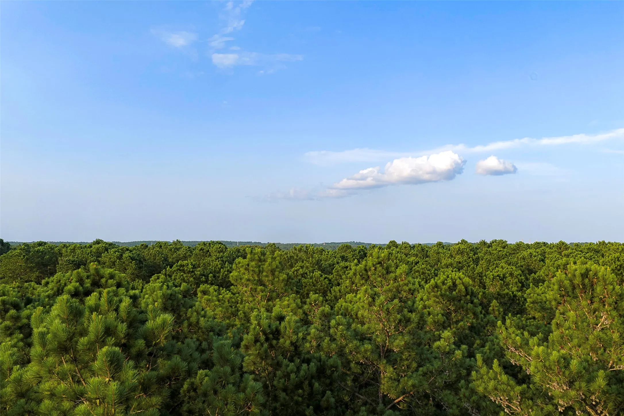 Unimproved Land For Sale in Rusk County , 00 County Road 2136, Tatum, Texas 75691, 0, 0, Garage spaces, 0 Sqft, built in 0, Price $1,150,000, mls#21322786, Real Estate Agent in Tatum, Homes For Sale in Rusk county, Homes For Sale in Tatum, Realtor in Tatum Texas, Real Estate Brokerage Independent Realty Texas, Luminita Cordes Realtor