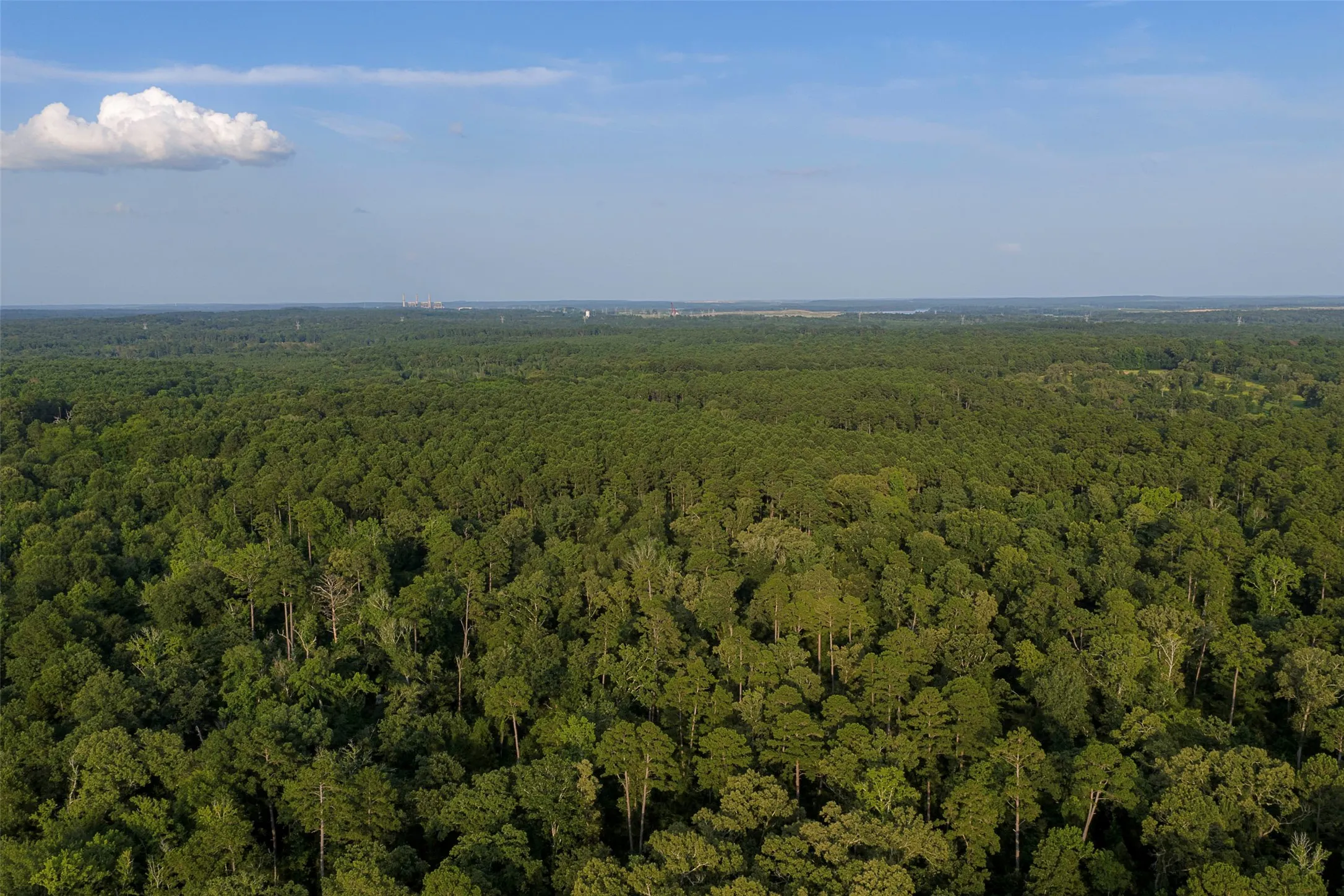 Unimproved Land For Sale in Rusk County , 00 County Road 2136, Tatum, Texas 75691, 0, 0, Garage spaces, 0 Sqft, built in 0, Price $1,150,000, mls#21322786, Real Estate Agent in Tatum, Homes For Sale in Rusk county, Homes For Sale in Tatum, Realtor in Tatum Texas, Real Estate Brokerage Independent Realty Texas, Luminita Cordes Realtor