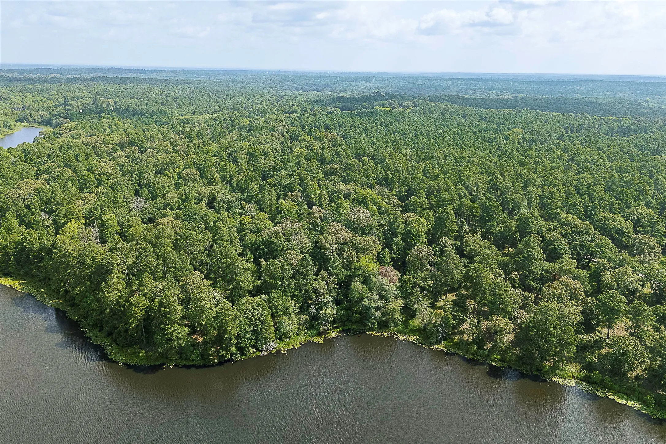 Unimproved Land For Sale in Rusk County , 00 County Road 2136, Tatum, Texas 75691, 0, 0, Garage spaces, 0 Sqft, built in 0, Price $1,150,000, mls#21322786, Real Estate Agent in Tatum, Homes For Sale in Rusk county, Homes For Sale in Tatum, Realtor in Tatum Texas, Real Estate Brokerage Independent Realty Texas, Luminita Cordes Realtor