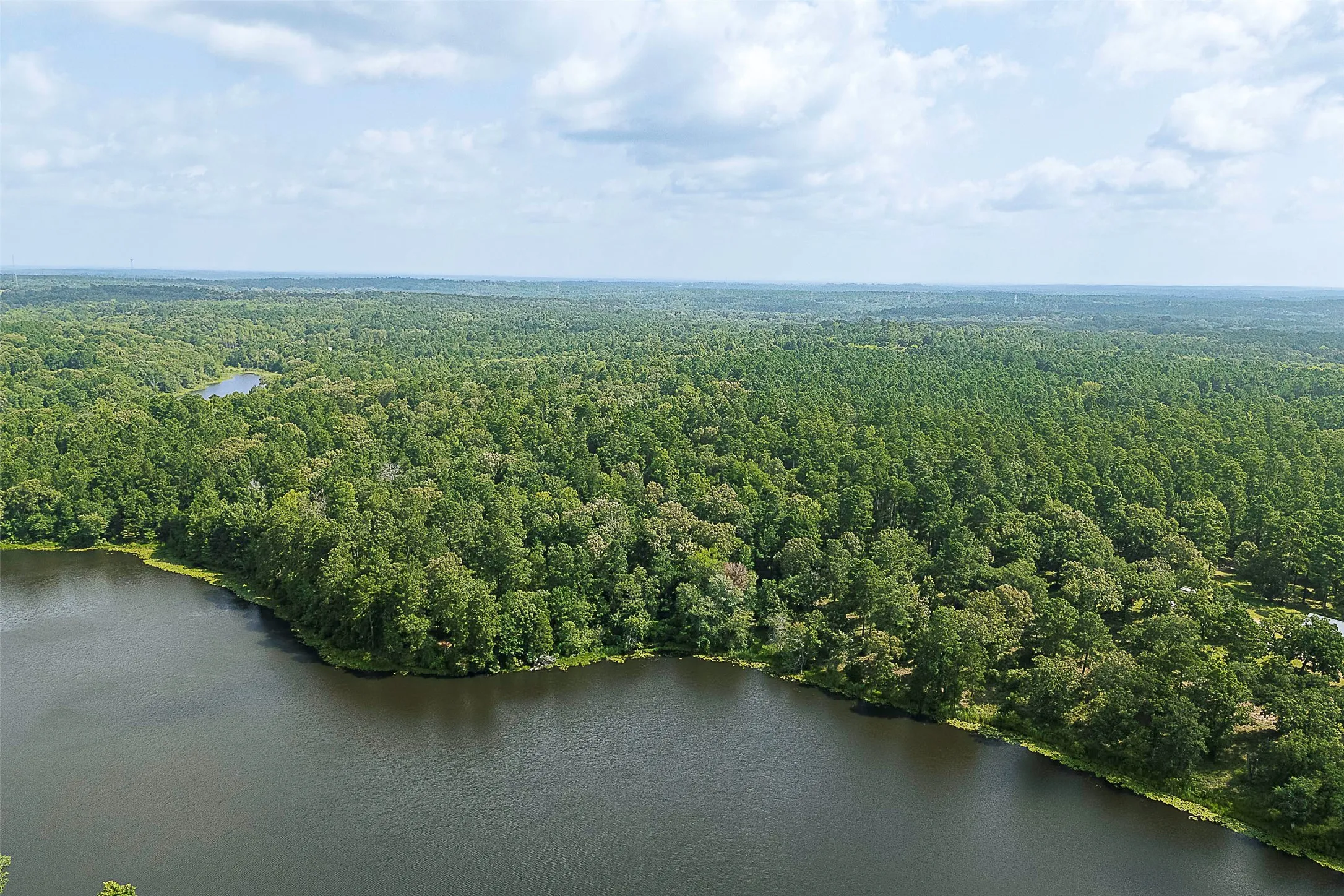 Unimproved Land For Sale in Rusk County , 00 County Road 2136, Tatum, Texas 75691, 0, 0, Garage spaces, 0 Sqft, built in 0, Price $1,150,000, mls#21322786, Real Estate Agent in Tatum, Homes For Sale in Rusk county, Homes For Sale in Tatum, Realtor in Tatum Texas, Real Estate Brokerage Independent Realty Texas, Luminita Cordes Realtor