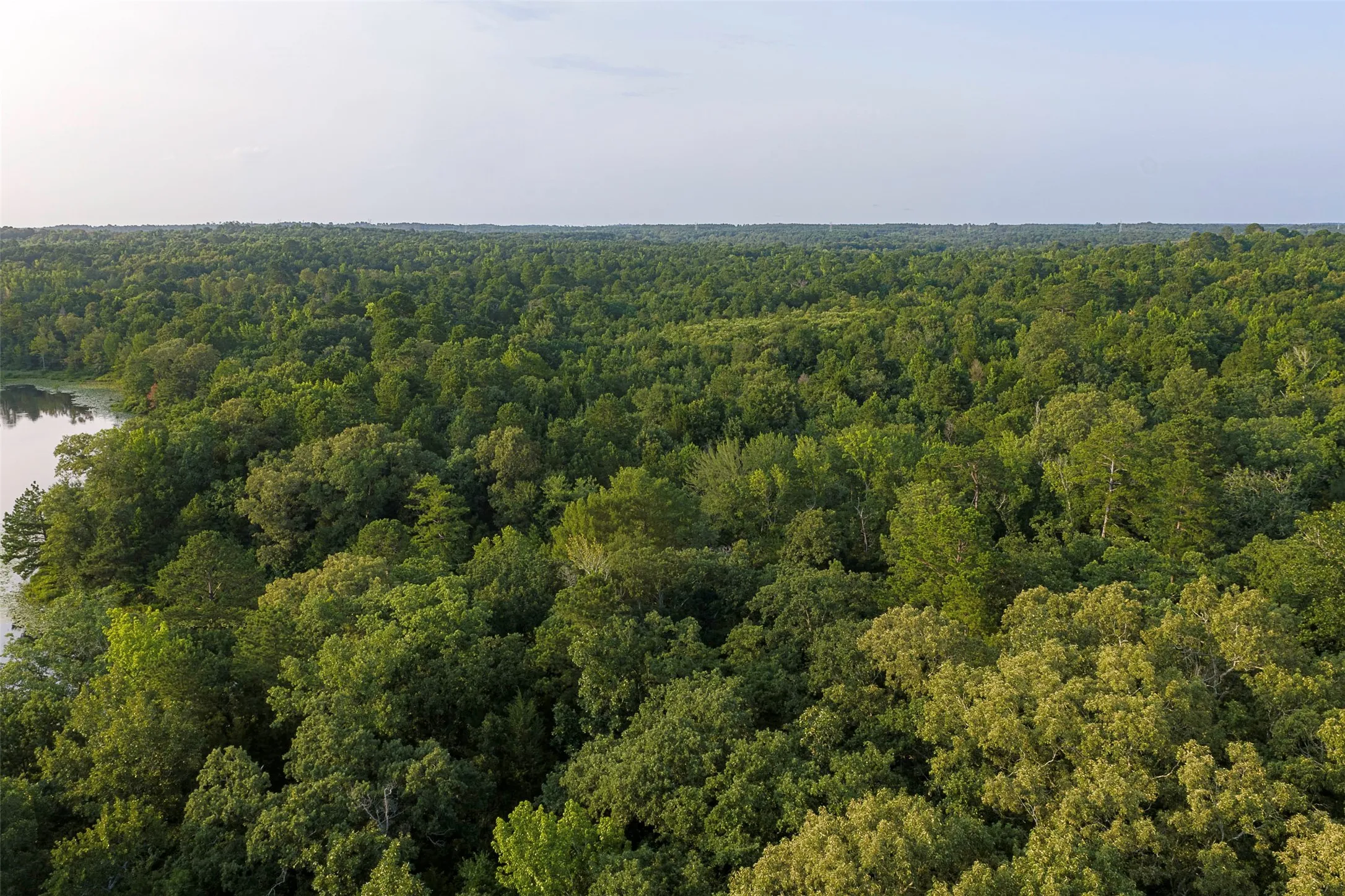 Unimproved Land For Sale in Rusk County , 00 County Road 2136, Tatum, Texas 75691, 0, 0, Garage spaces, 0 Sqft, built in 0, Price $1,150,000, mls#21322786, Real Estate Agent in Tatum, Homes For Sale in Rusk county, Homes For Sale in Tatum, Realtor in Tatum Texas, Real Estate Brokerage Independent Realty Texas, Luminita Cordes Realtor