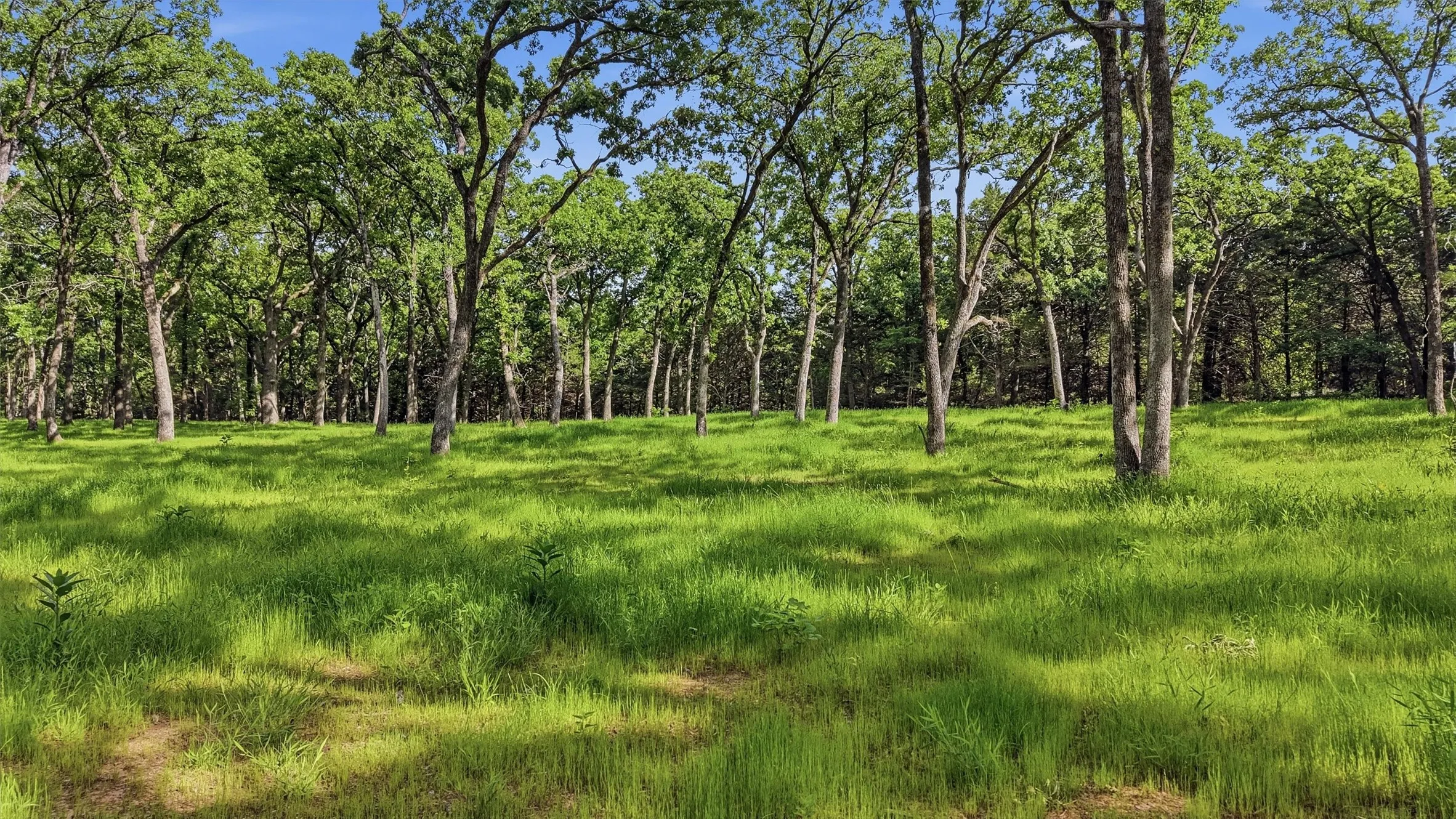 Improved Land For Sale in Grayson County , 60 Doe Crossing, Pottsboro, Texas 75076, 0, 0, Garage spaces, 0 Sqft, built in 0, Price $400,000, mls#21322840, Real Estate Agent in Pottsboro, Homes For Sale in Grayson county, Homes For Sale in Pottsboro, Realtor in Pottsboro Texas, Real Estate Brokerage Independent Realty Texas, Luminita Cordes Realtor