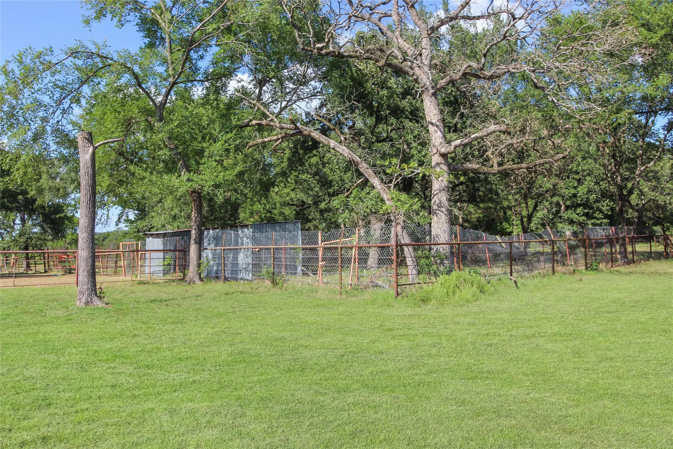 Expansive grassy area with mature trees and a chain-link fence