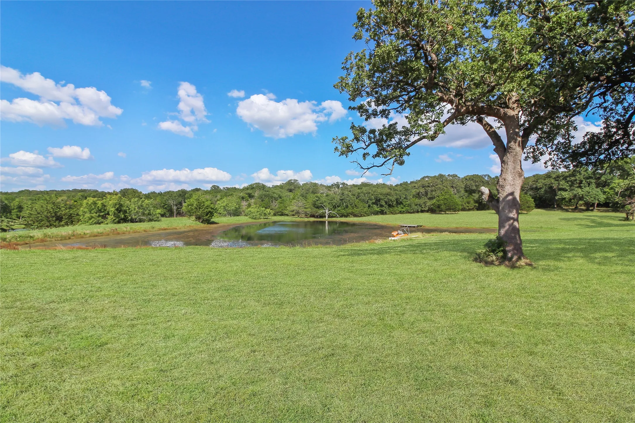 Expansive green acreage featuring a substantial tree and a tranquil pond, bordered by lush natural landscaping