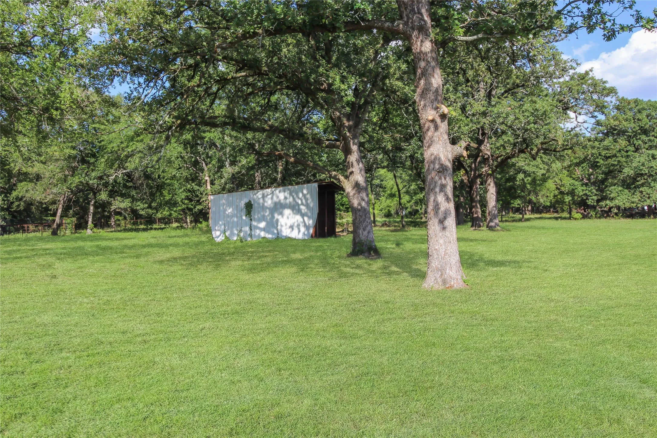 Expansive green space featuring a corrugated metal structure, mature trees, and a perimeter fence