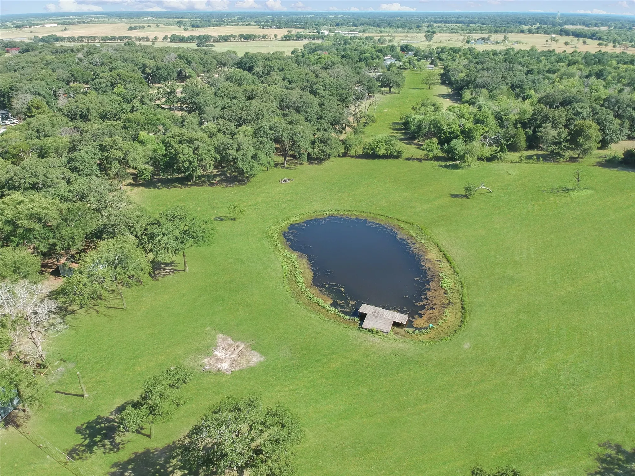 Expansive green landscape featuring a central pond with a wooden dock
