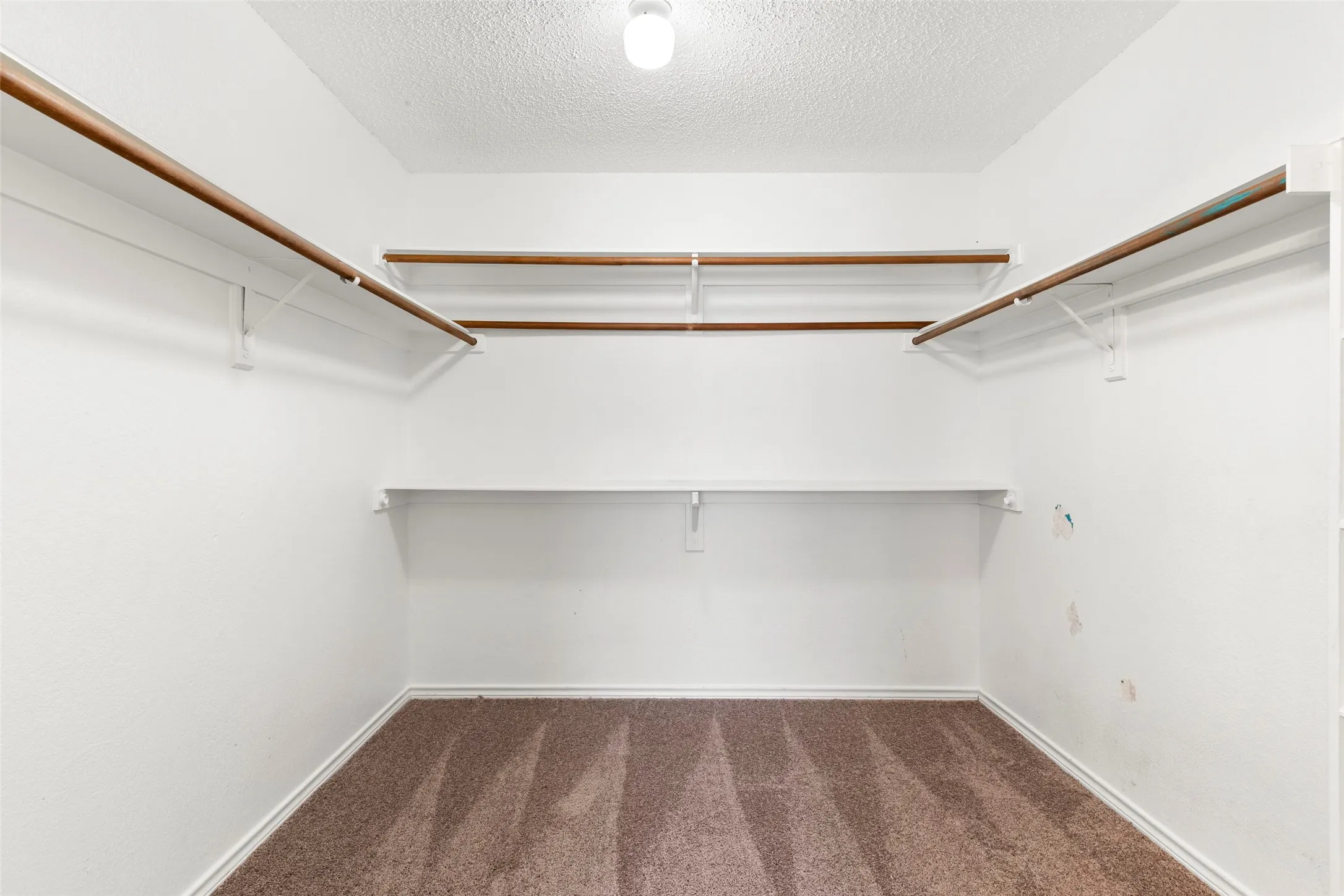 Spacious walk-in closet featuring white painted walls and brown carpeting