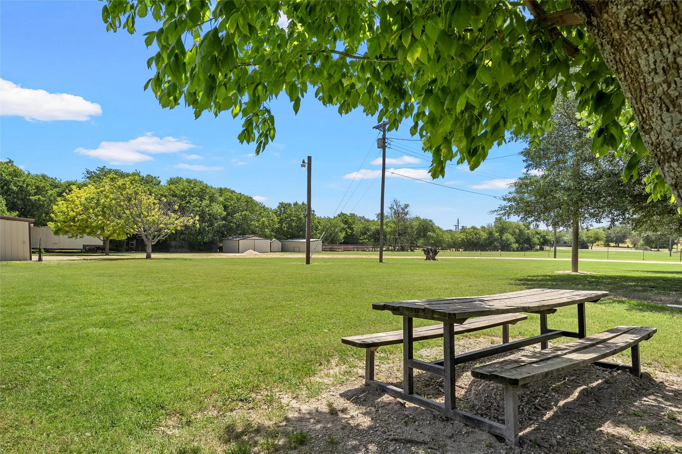 Expansive green space featuring a picnic table, mature trees, and a clear blue sky