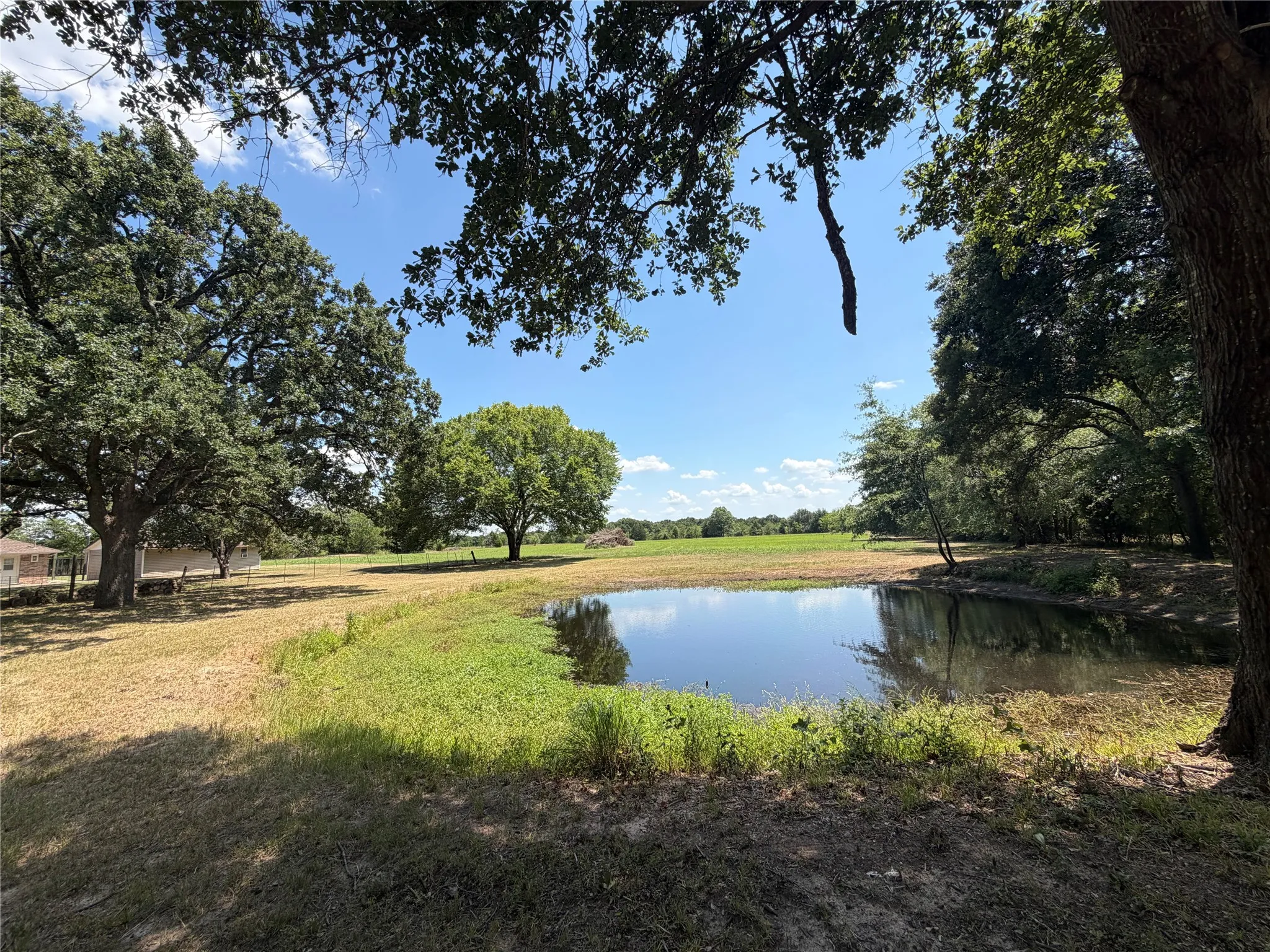 Natural pond with surrounding foliage and open fields
