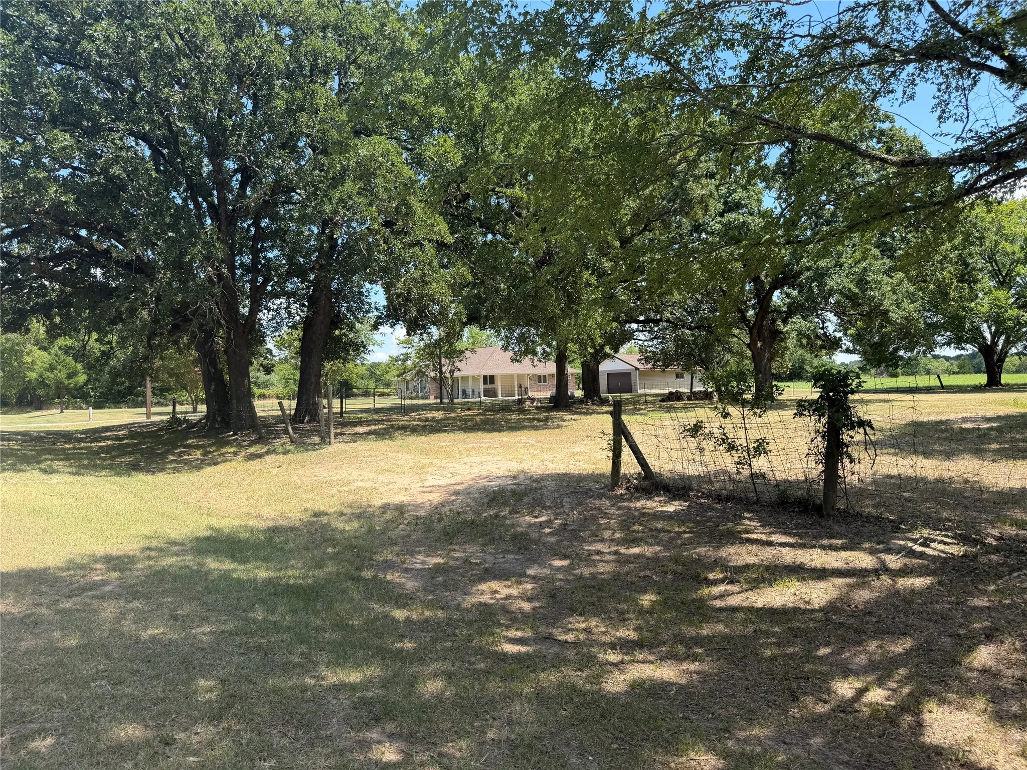 Expansive grassy area featuring mature trees and a distant property with a light-colored exterior