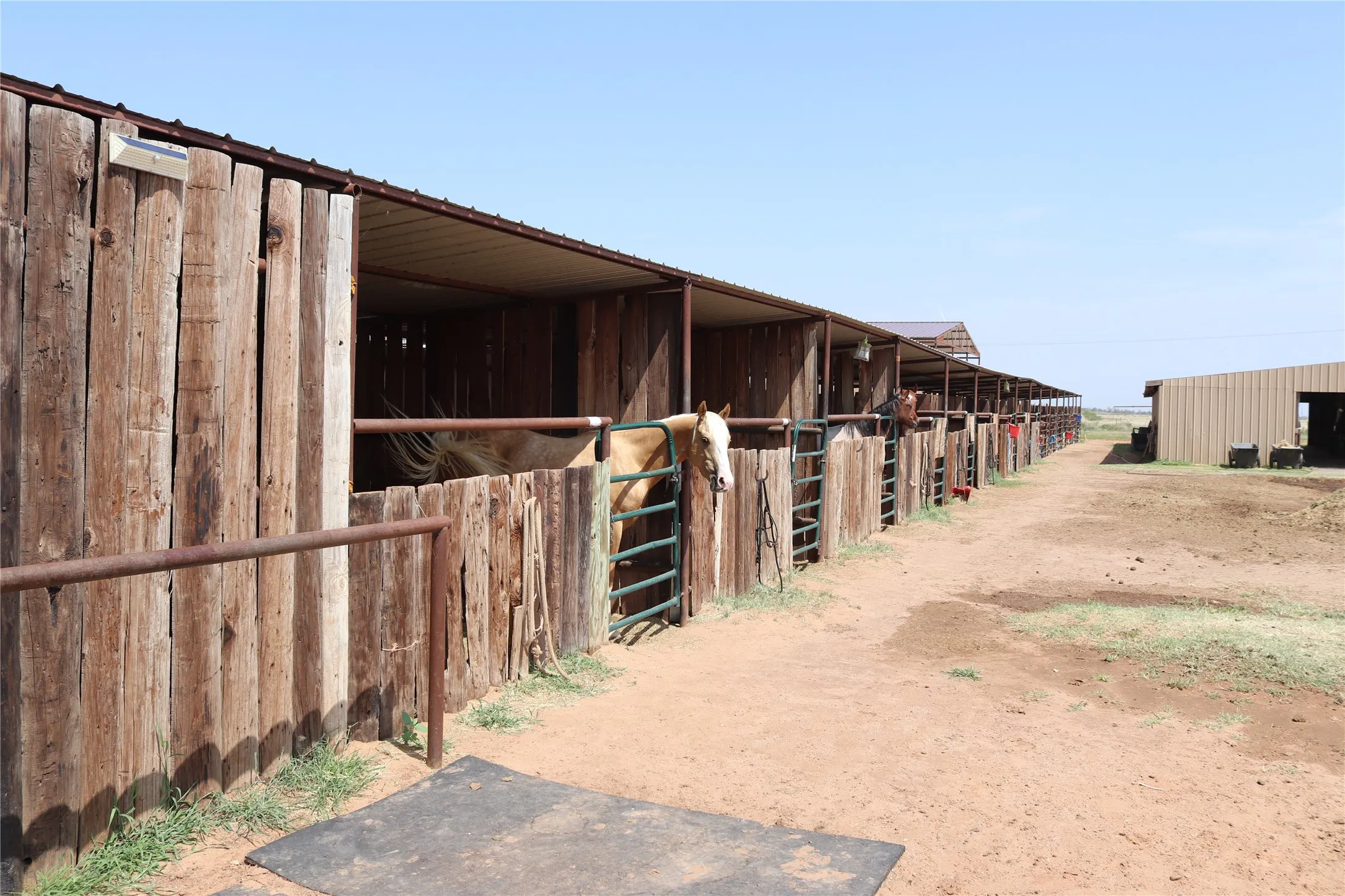 Farm For Sale in Wilbarger County , 9315 CR 106 W, Vernon, Texas 76384, 4 Bedroom, 2 Bathroom, Garage spaces, 2,200 Sqft, built in 2022, mls#21323018, Real Estate Agent in Vernon, Homes For Sale in Wilbarger county, Homes For Sale in Vernon, Realtor in Vernon Texas, Real Estate Brokerage Independent Realty Texas, Luminita Cordes Realtor