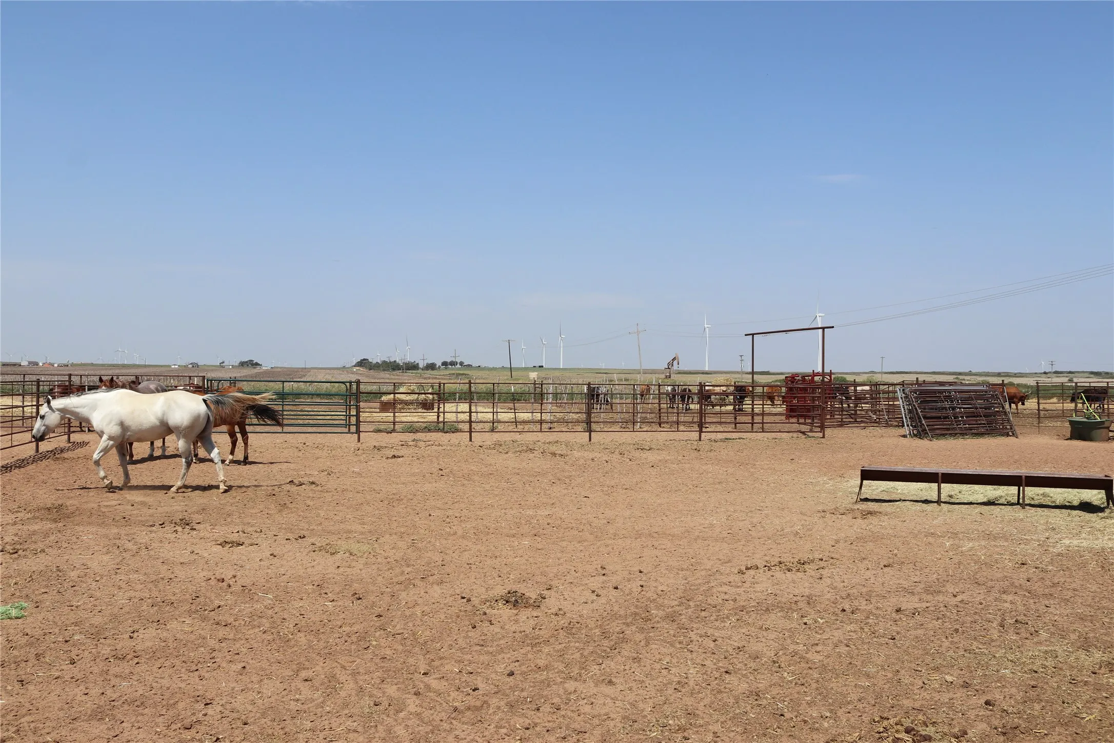 Farm For Sale in Wilbarger County , 9315 CR 106 W, Vernon, Texas 76384, 4 Bedroom, 2 Bathroom, Garage spaces, 2,200 Sqft, built in 2022, mls#21323018, Real Estate Agent in Vernon, Homes For Sale in Wilbarger county, Homes For Sale in Vernon, Realtor in Vernon Texas, Real Estate Brokerage Independent Realty Texas, Luminita Cordes Realtor