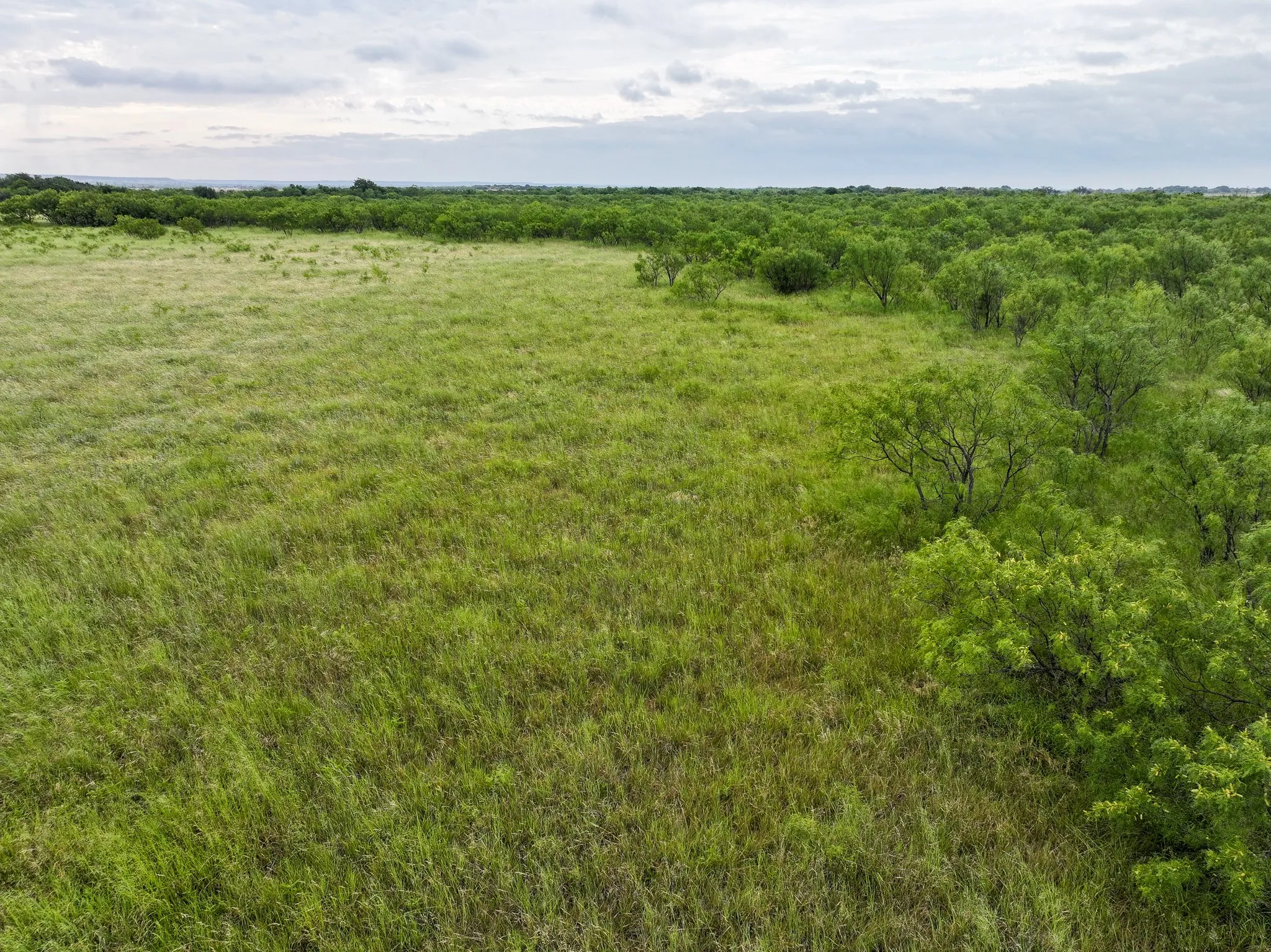 Unimproved Land For Sale in Taylor County , 115 Badger Den, Tuscola, Texas 79562, 0, 0, Garage spaces, 0 Sqft, built in 0, mls#21323021, Real Estate Agent in Tuscola, Homes For Sale in Taylor county, Homes For Sale in Tuscola, Realtor in Tuscola Texas, Real Estate Brokerage Independent Realty Texas, Luminita Cordes Realtor