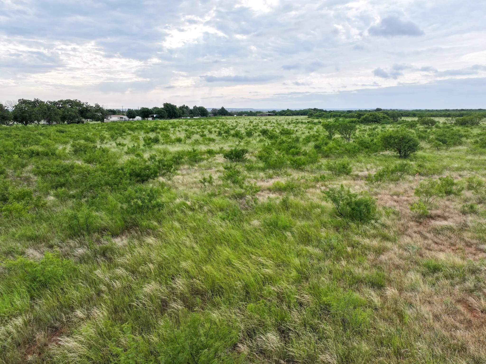 Unimproved Land For Sale in Taylor County , 115 Badger Den, Tuscola, Texas 79562, 0, 0, Garage spaces, 0 Sqft, built in 0, mls#21323021, Real Estate Agent in Tuscola, Homes For Sale in Taylor county, Homes For Sale in Tuscola, Realtor in Tuscola Texas, Real Estate Brokerage Independent Realty Texas, Luminita Cordes Realtor