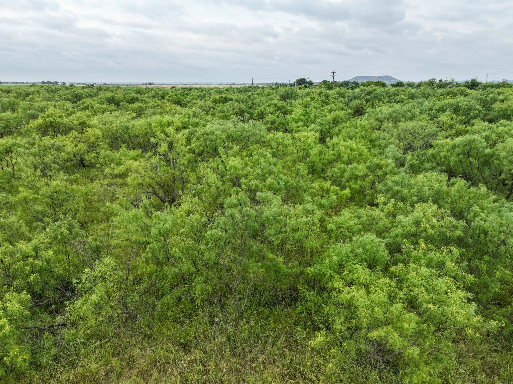 Unimproved Land For Sale in Taylor County , 115 Badger Den, Tuscola, Texas 79562, 0, 0, Garage spaces, 0 Sqft, built in 0, mls#21323021, Real Estate Agent in Tuscola, Homes For Sale in Taylor county, Homes For Sale in Tuscola, Realtor in Tuscola Texas, Real Estate Brokerage Independent Realty Texas, Luminita Cordes Realtor