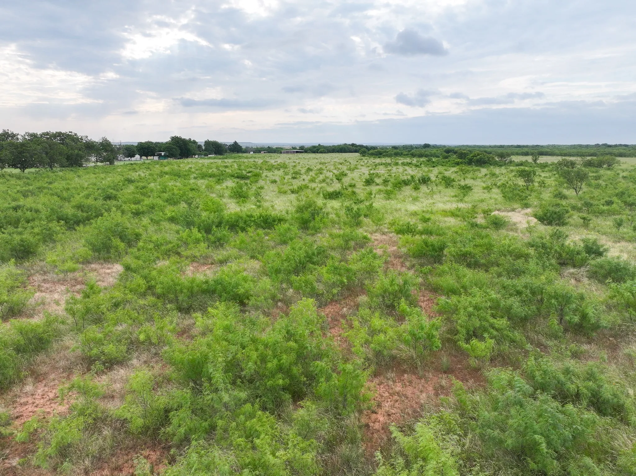 Unimproved Land For Sale in Taylor County , 115 Badger Den, Tuscola, Texas 79562, 0, 0, Garage spaces, 0 Sqft, built in 0, mls#21323021, Real Estate Agent in Tuscola, Homes For Sale in Taylor county, Homes For Sale in Tuscola, Realtor in Tuscola Texas, Real Estate Brokerage Independent Realty Texas, Luminita Cordes Realtor