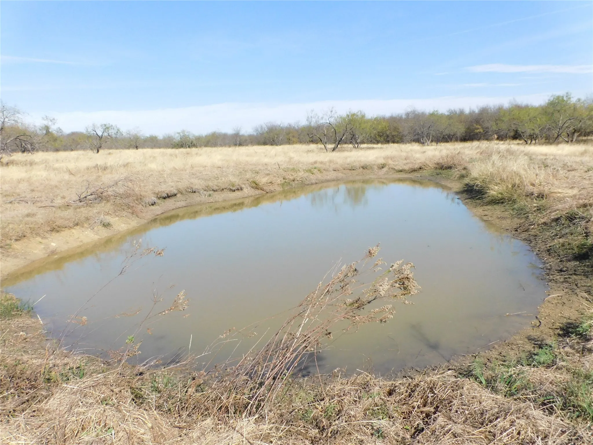 Ranch For Sale in Hill County , 233 Hcr 3315, Hubbard, Texas 76648, 0, 0, Garage spaces, 0 Sqft, built in 1996, Price $450,000, mls#21323022, Real Estate Agent in Hubbard, Homes For Sale in Hill county, Homes For Sale in Hubbard, Realtor in Hubbard Texas, Real Estate Brokerage Independent Realty Texas, Luminita Cordes Realtor