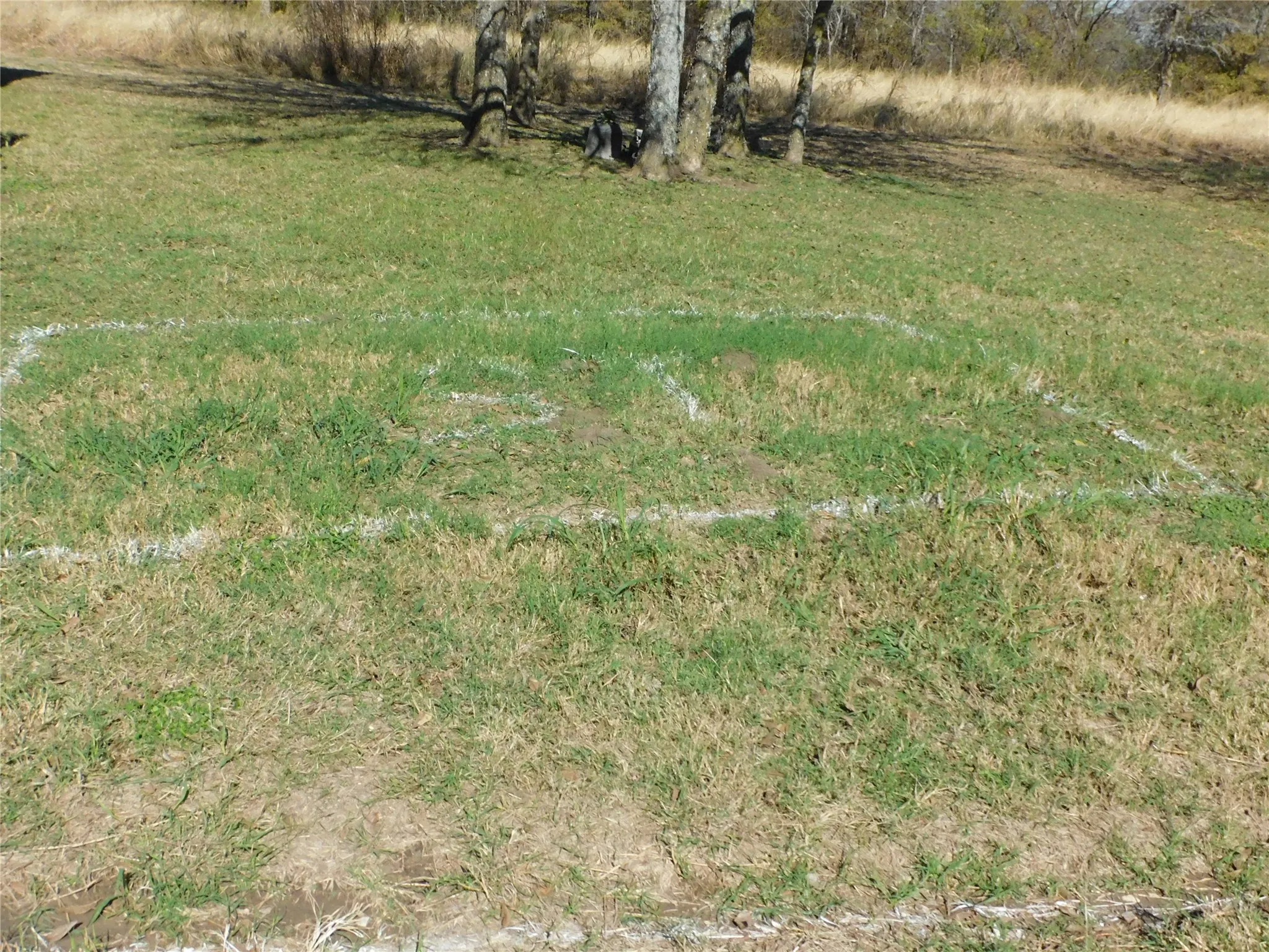 septic outline in yard