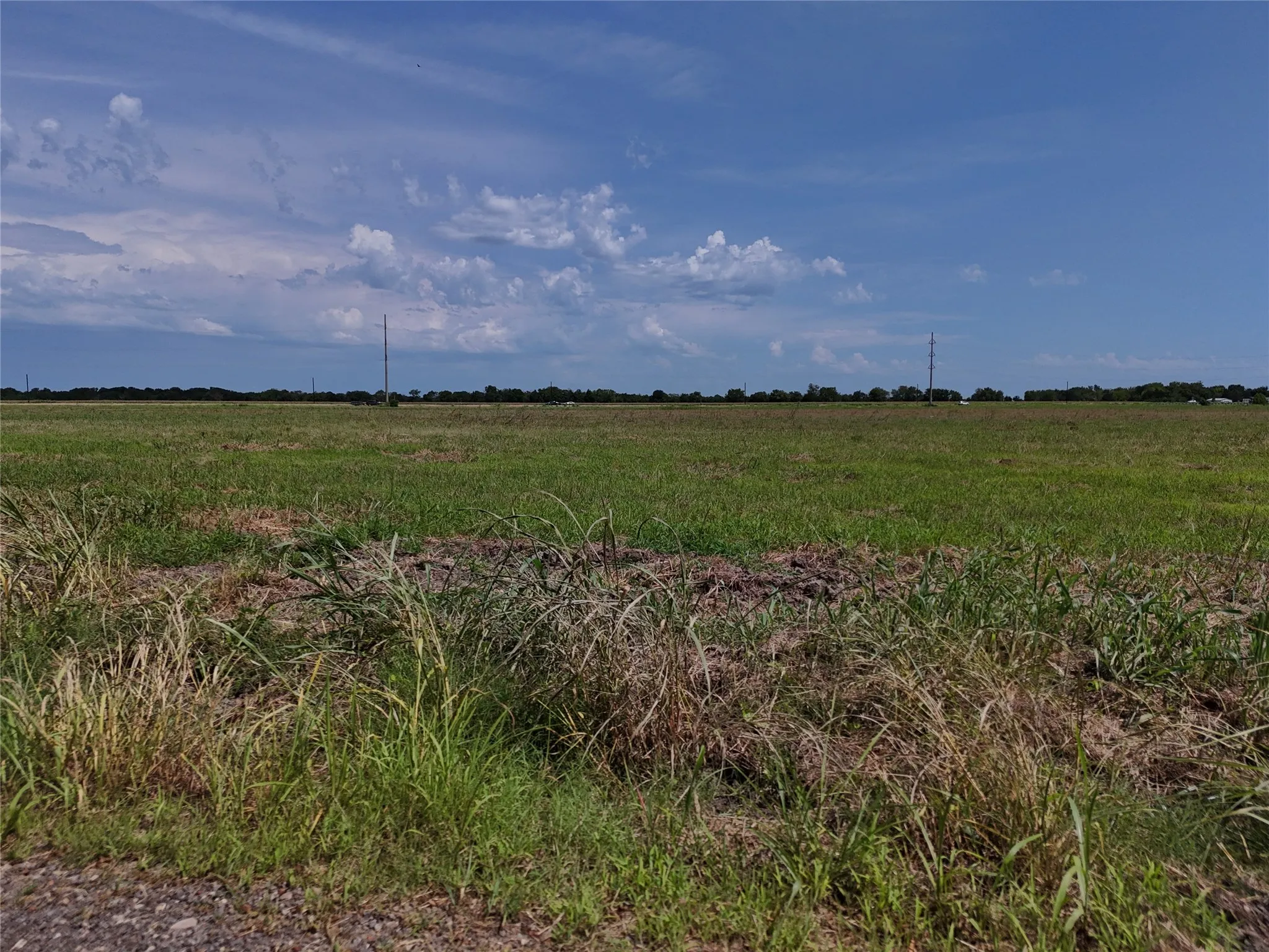 Unimproved Land For Sale in Delta County , 15500 CR 2000, Cooper, Texas 75432, 0, 0, Garage spaces, 0 Sqft, built in 0, Price $186,000, mls#21323074, Real Estate Agent in Cooper, Homes For Sale in Delta county, Homes For Sale in Cooper, Realtor in Cooper Texas, Real Estate Brokerage Independent Realty Texas, Luminita Cordes Realtor