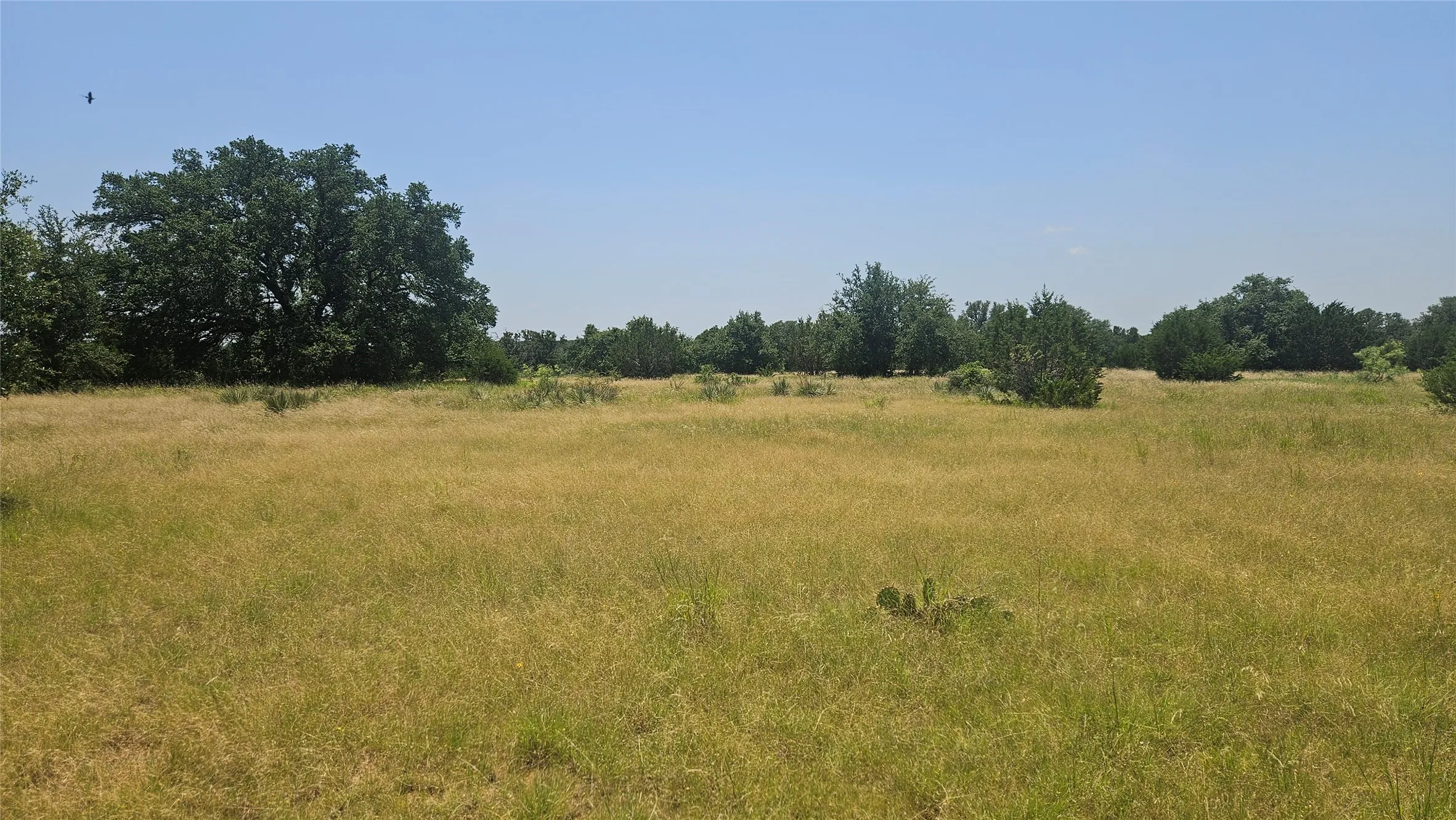 Farm For Sale in Mills County , 151 S FM 573, Mullin, Texas 76864, 2 Bedroom, 1 Bathroom, Garage spaces, 1,500 Sqft, built in 1920, mls#21319343, Real Estate Agent in Mullin, Homes For Sale in Mills county, Homes For Sale in Mullin, Realtor in Mullin Texas, Real Estate Brokerage Independent Realty Texas, Luminita Cordes Realtor
