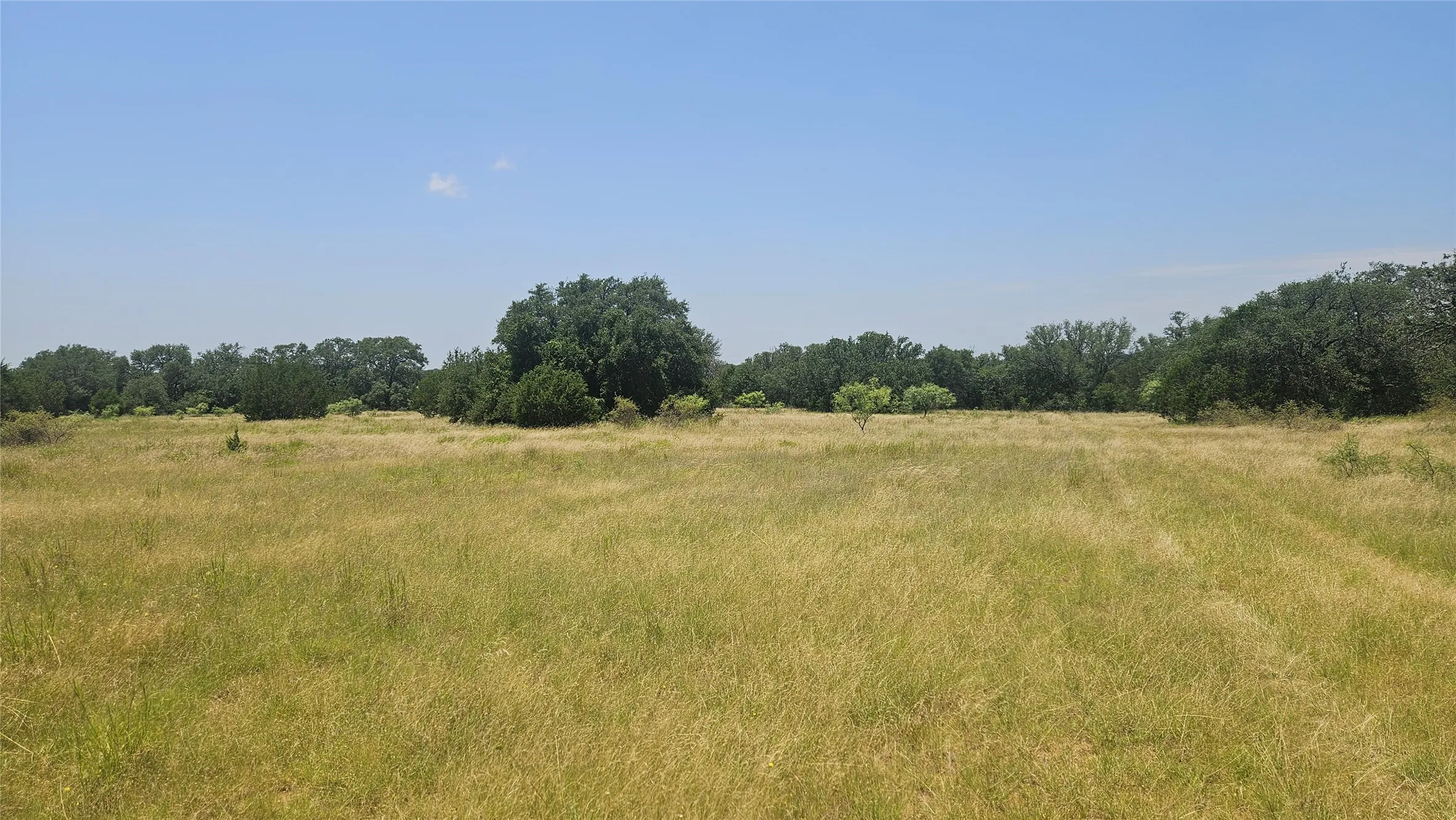 Farm For Sale in Mills County , 151 S FM 573, Mullin, Texas 76864, 2 Bedroom, 1 Bathroom, Garage spaces, 1,500 Sqft, built in 1920, mls#21319343, Real Estate Agent in Mullin, Homes For Sale in Mills county, Homes For Sale in Mullin, Realtor in Mullin Texas, Real Estate Brokerage Independent Realty Texas, Luminita Cordes Realtor