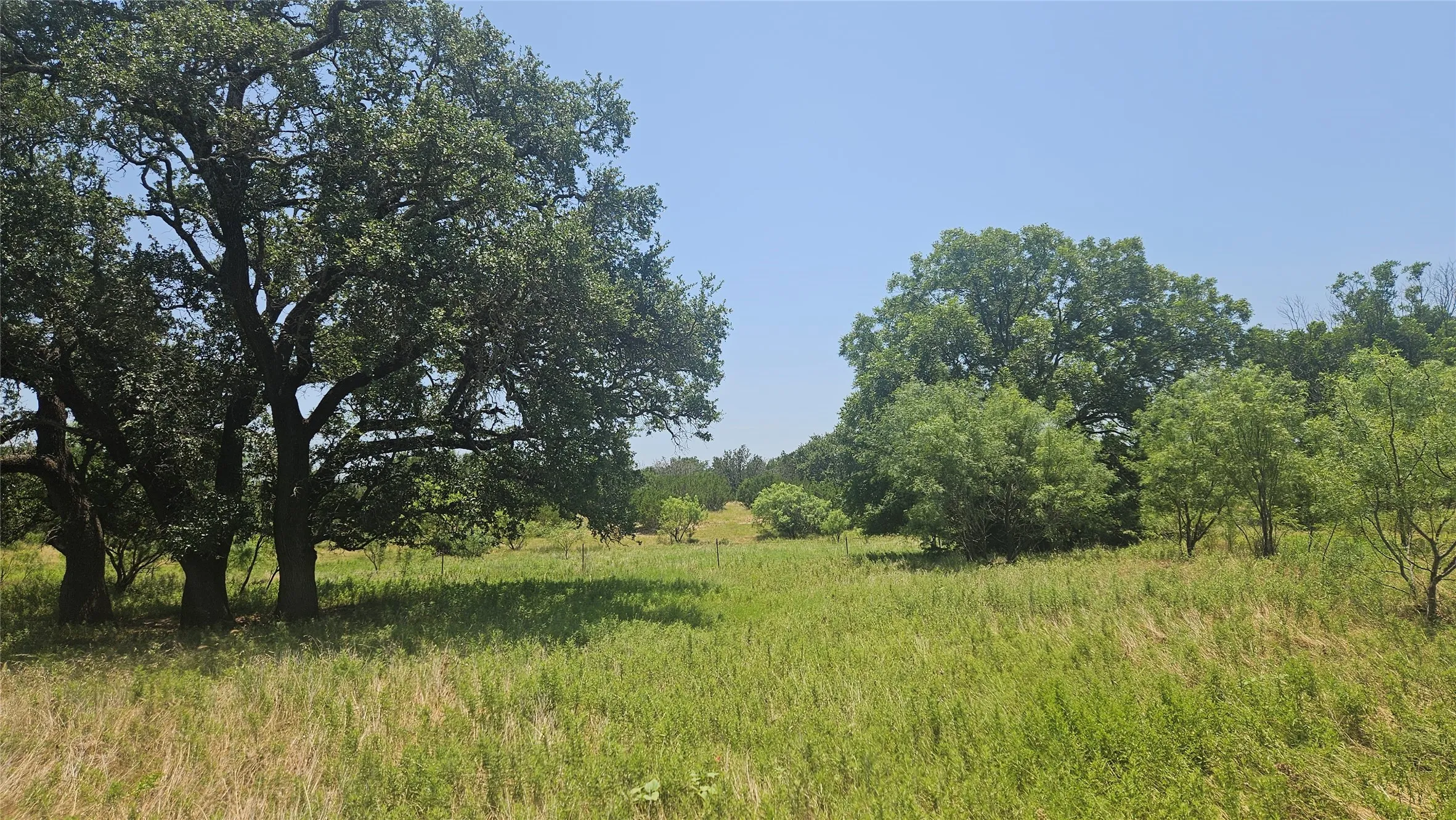 Farm For Sale in Mills County , 151 S FM 573, Mullin, Texas 76864, 2 Bedroom, 1 Bathroom, Garage spaces, 1,500 Sqft, built in 1920, mls#21319343, Real Estate Agent in Mullin, Homes For Sale in Mills county, Homes For Sale in Mullin, Realtor in Mullin Texas, Real Estate Brokerage Independent Realty Texas, Luminita Cordes Realtor
