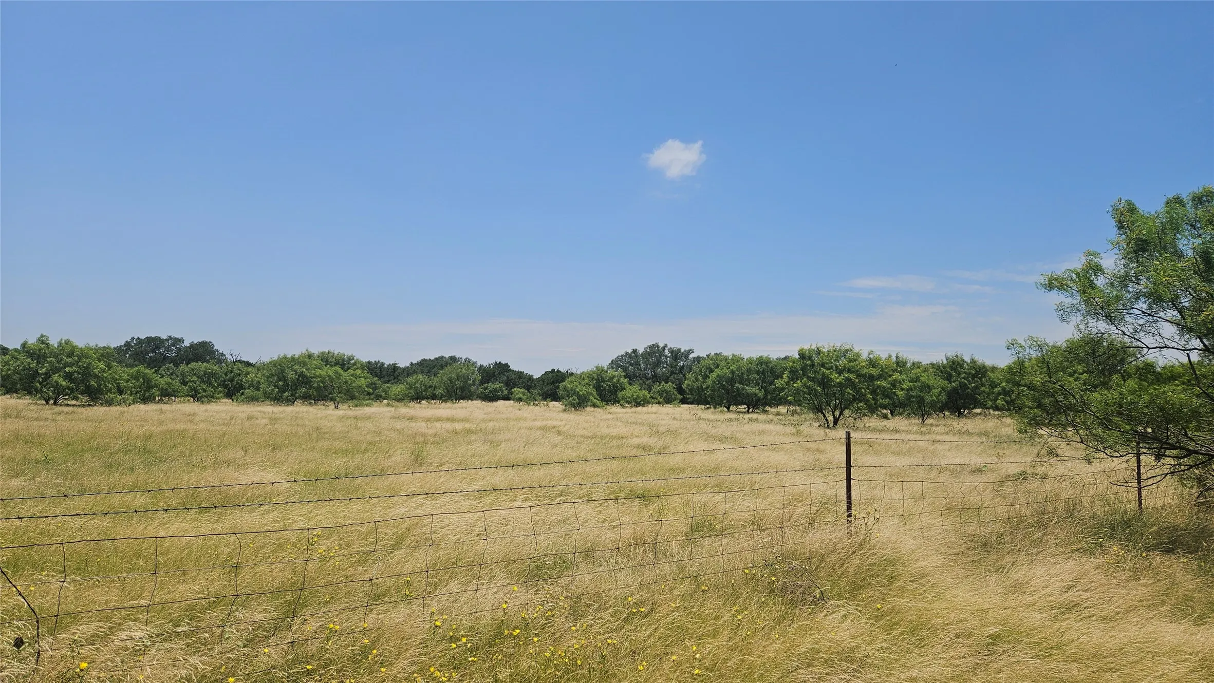 Farm For Sale in Mills County , 151 S FM 573, Mullin, Texas 76864, 2 Bedroom, 1 Bathroom, Garage spaces, 1,500 Sqft, built in 1920, mls#21319343, Real Estate Agent in Mullin, Homes For Sale in Mills county, Homes For Sale in Mullin, Realtor in Mullin Texas, Real Estate Brokerage Independent Realty Texas, Luminita Cordes Realtor