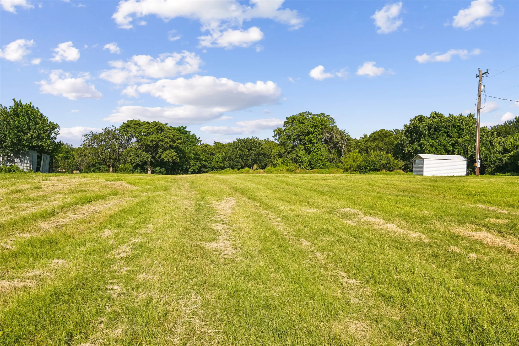 Expansive open field with green grass