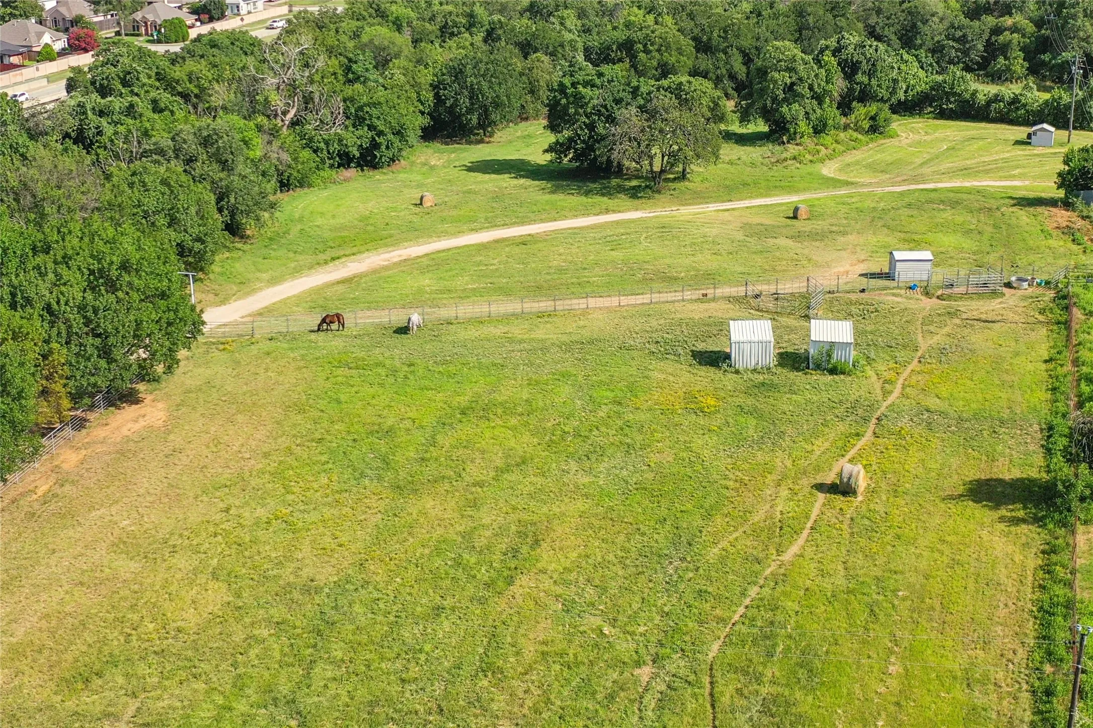 Expansive green acreage featuring a winding dirt path, mature trees, and multiple outbuildings