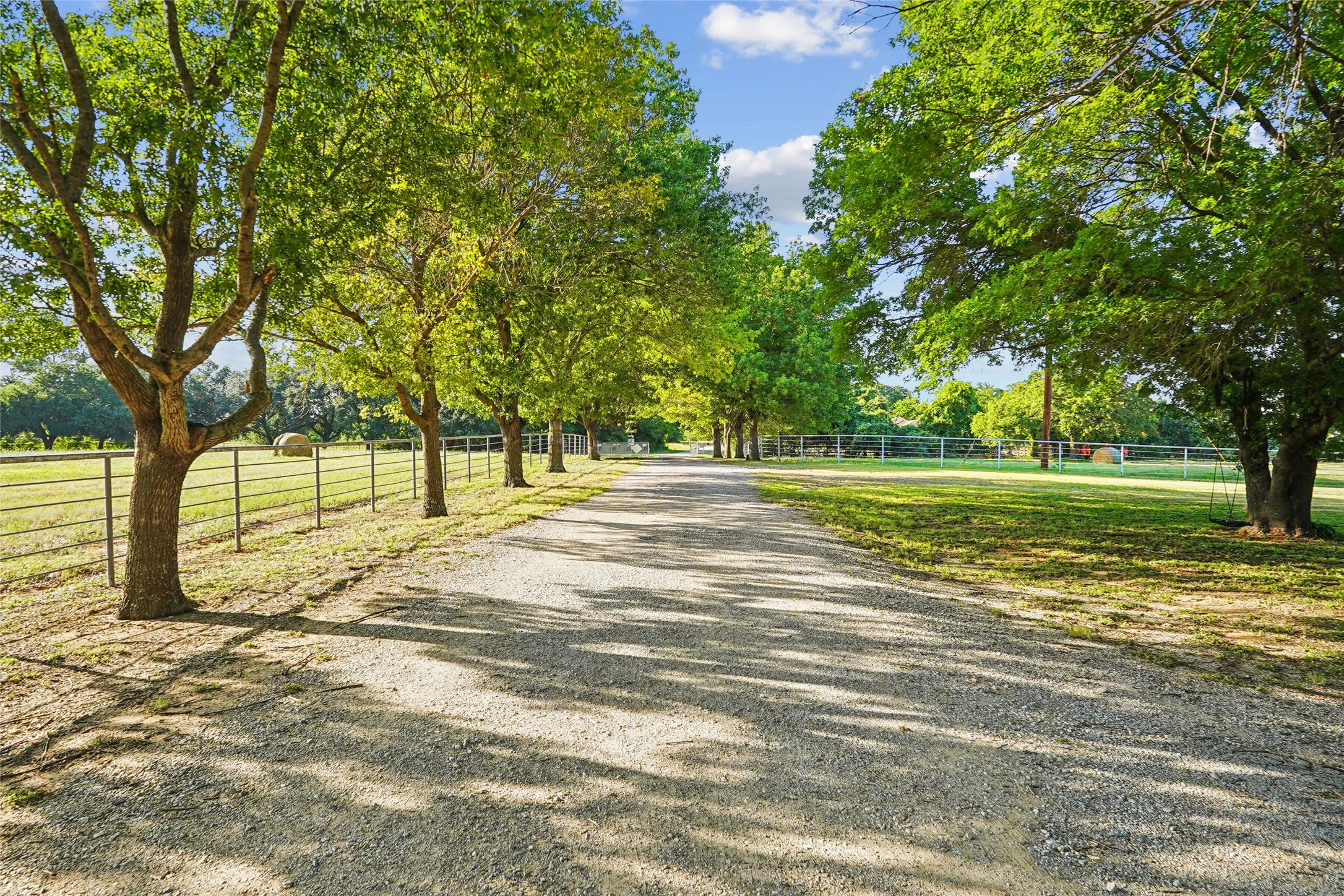 Gravel driveway bordered by mature trees and a metal fence