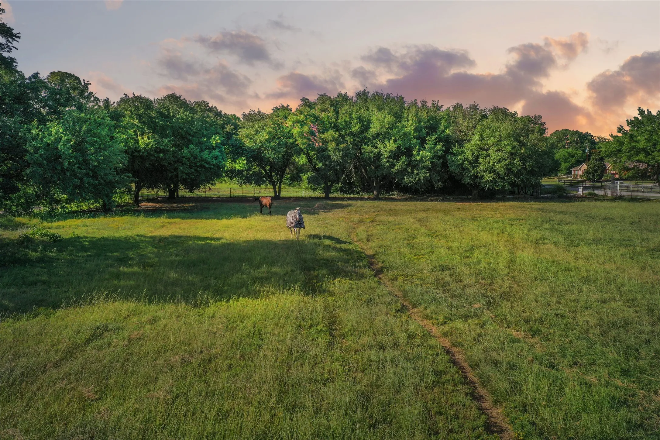 Expansive grassy field with a line of mature trees along the perimeter