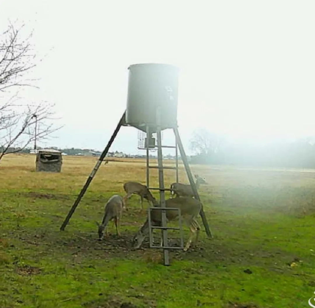 Single Family Residence For Sale in Hunt County , 1510 FM 2649, Lone Oak, Texas 75453, 5 Bedroom, 3 Bathroom, 4 Garage spaces, 3,425 Sqft, built in 2024, mls#21323104, Real Estate Agent in Lone Oak, Homes For Sale in Hunt county, Homes For Sale in Lone Oak, Realtor in Lone Oak Texas, Real Estate Brokerage Independent Realty Texas, Luminita Cordes Realtor
