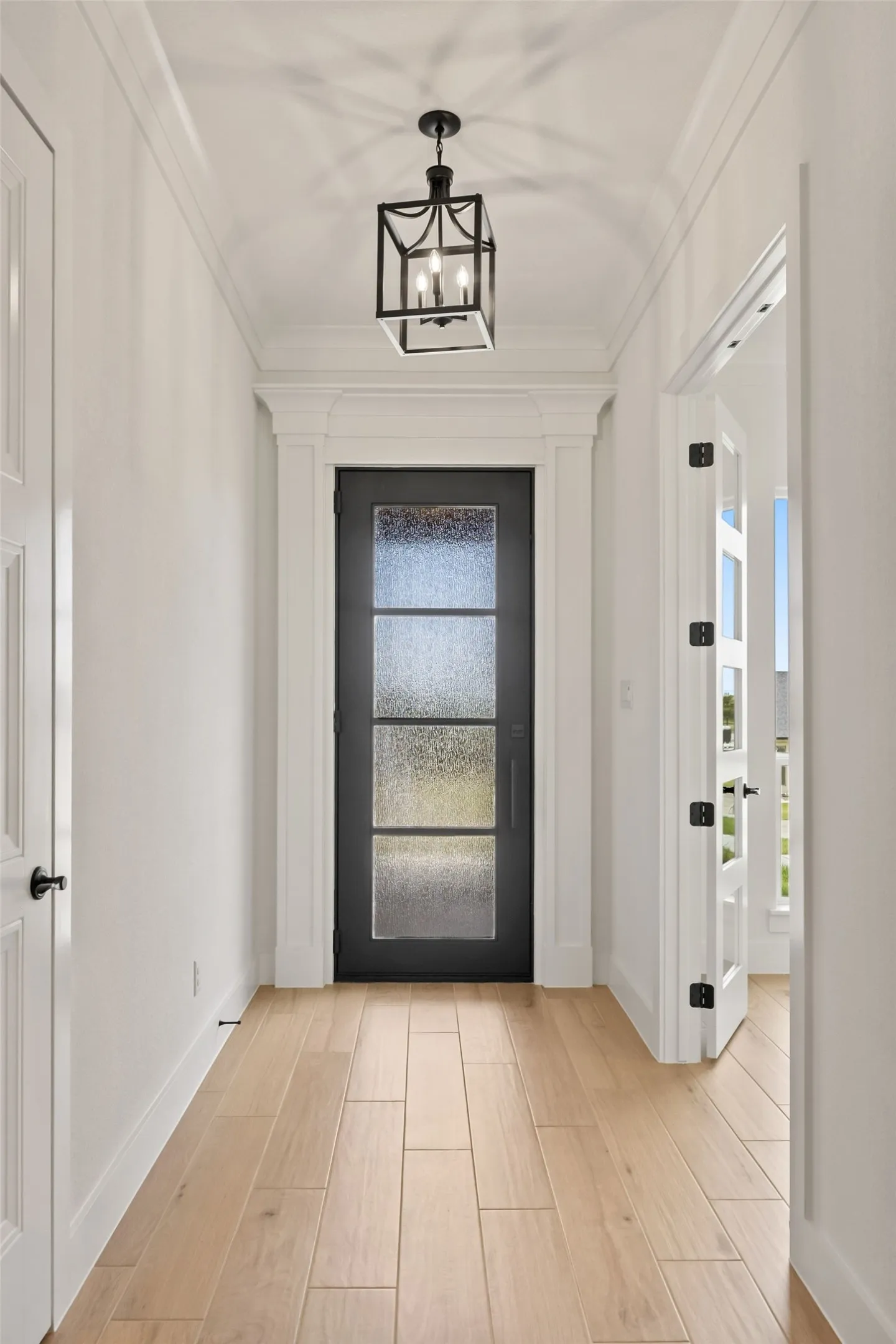 Entryway featuring light wood-finish flooring, a dark-framed glass-paneled door, and a black metal lantern pendant light