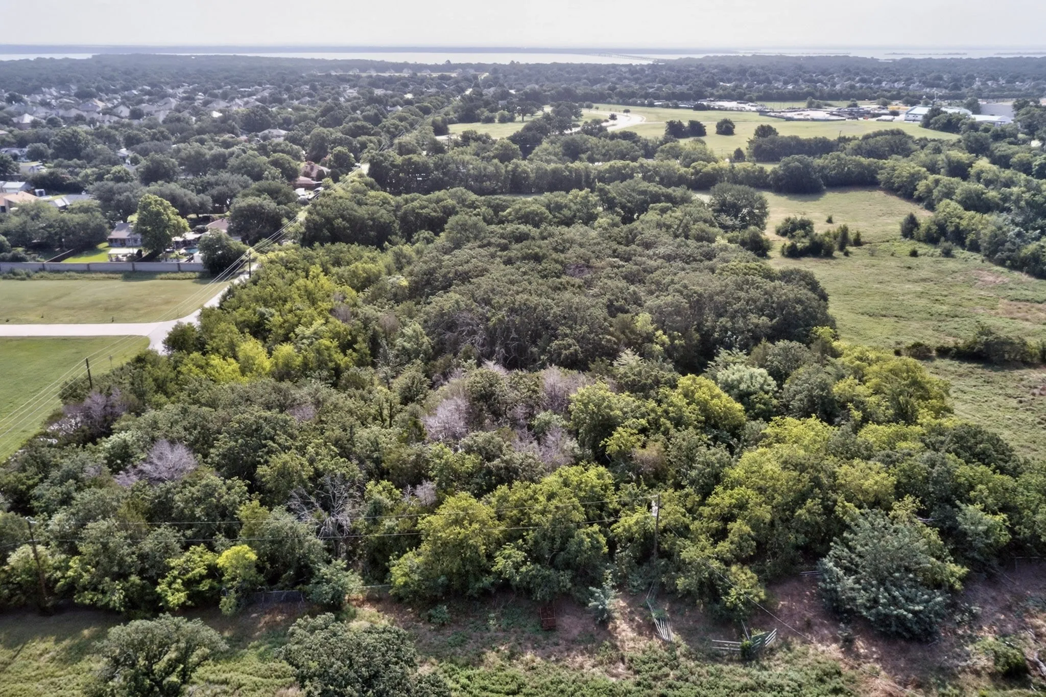 Expansive wooded parcel featuring mature trees, a clear sky, and surrounding open fields
