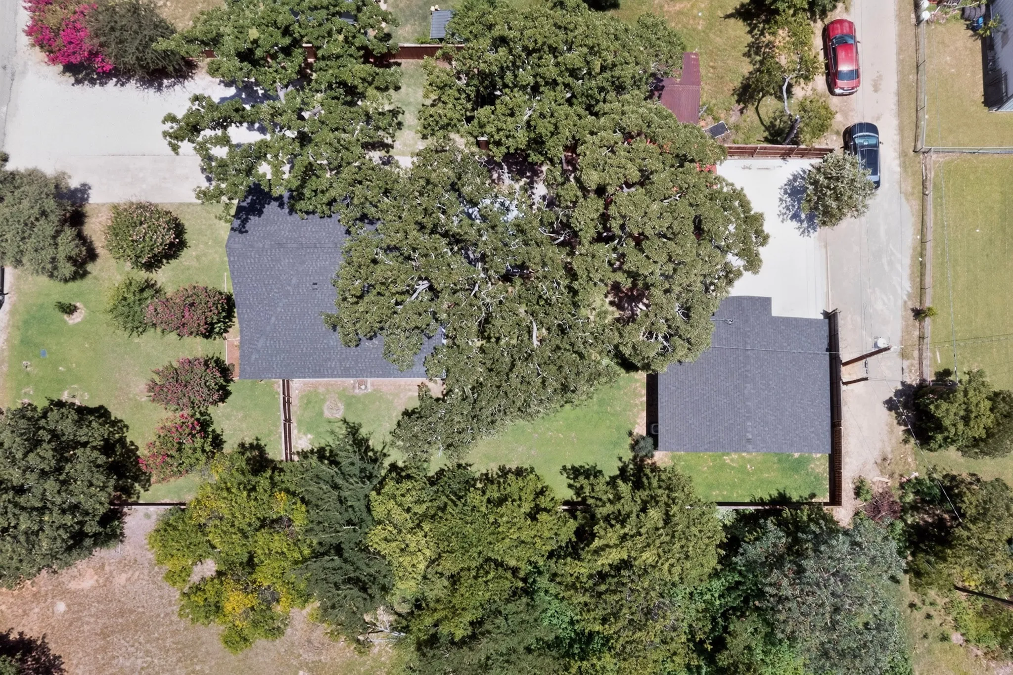 Property featuring a dark shingle roof, mature trees, and a spacious gravel driveway