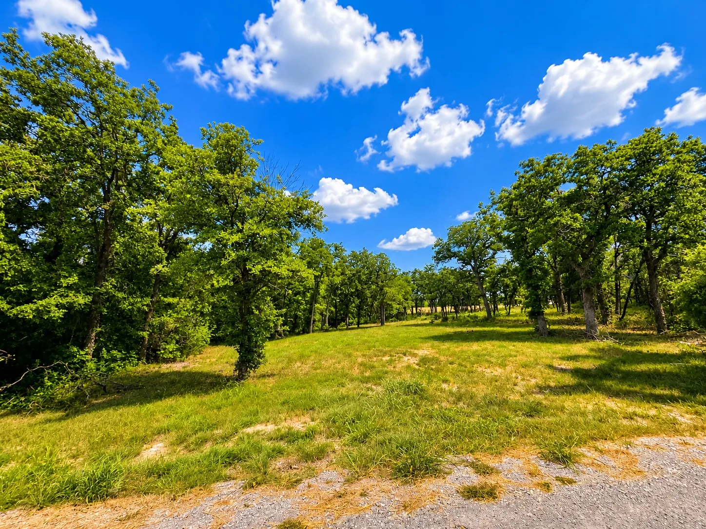Unimproved Land For Sale in Wise County , 0000 Martins Lane, Runaway Bay, Texas 76426, 0, 0, Garage spaces, 0 Sqft, built in 0, Price $240,000, mls#21321543, Real Estate Agent in Runaway Bay, Homes For Sale in Wise county, Homes For Sale in Runaway Bay, Realtor in Runaway Bay Texas, Real Estate Brokerage Independent Realty Texas, Luminita Cordes Realtor