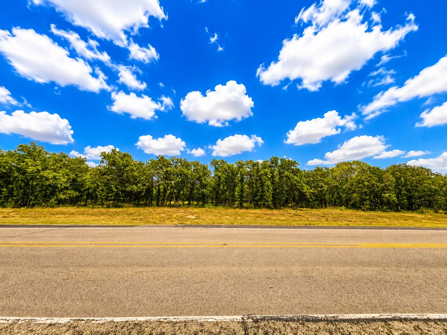 Paved road with double yellow lines, bordered by a strip of golden dry grass and a dense line of mature green trees, all beneath a clear blue sky with white clouds