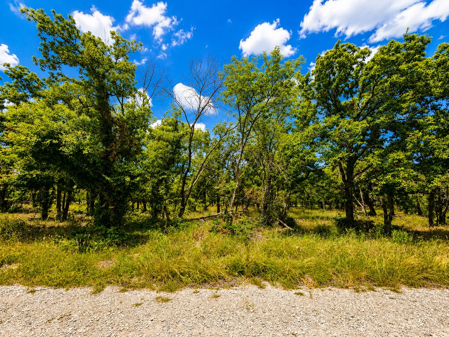 Land parcel featuring a gravel foreground, green grasses, and a dense treeline