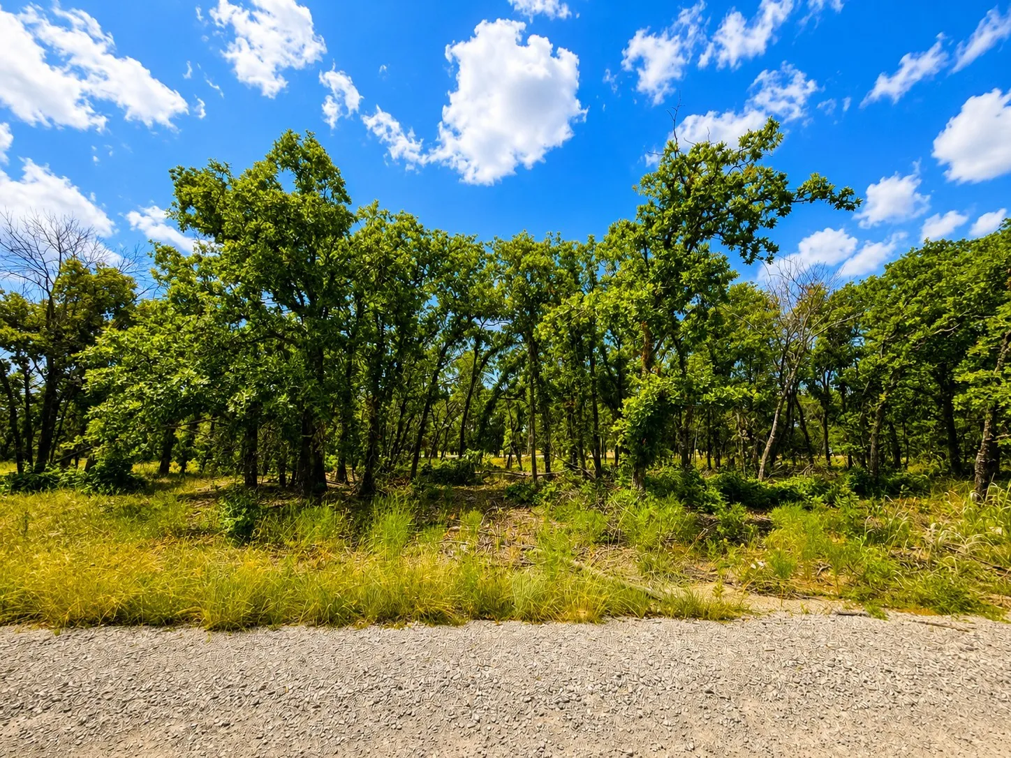 Wooded acreage featuring mature trees and natural vegetation