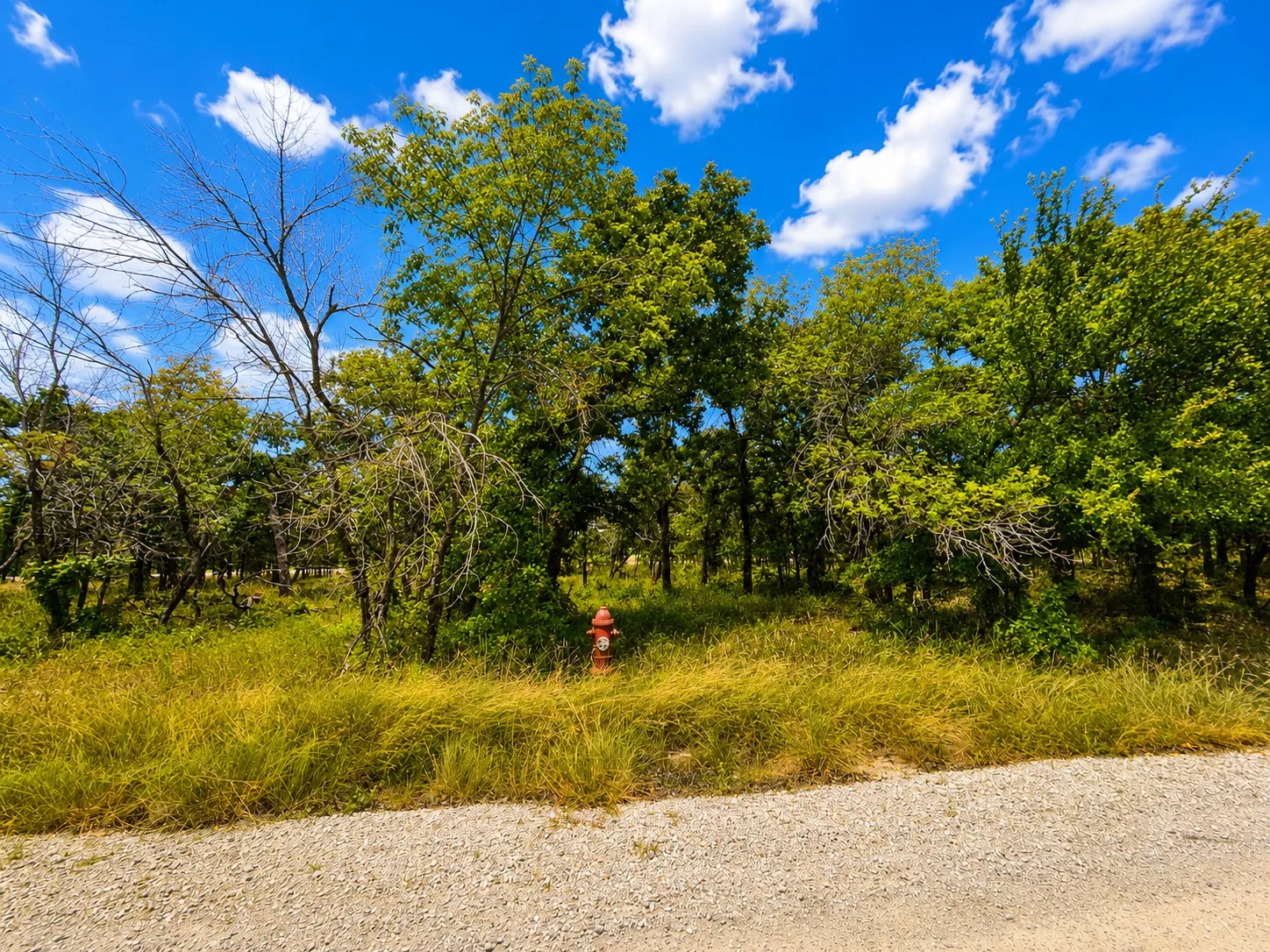 Unimproved Land For Sale in Wise County , 0000 Martins Lane, Runaway Bay, Texas 76426, 0, 0, Garage spaces, 0 Sqft, built in 0, Price $240,000, mls#21321543, Real Estate Agent in Runaway Bay, Homes For Sale in Wise county, Homes For Sale in Runaway Bay, Realtor in Runaway Bay Texas, Real Estate Brokerage Independent Realty Texas, Luminita Cordes Realtor