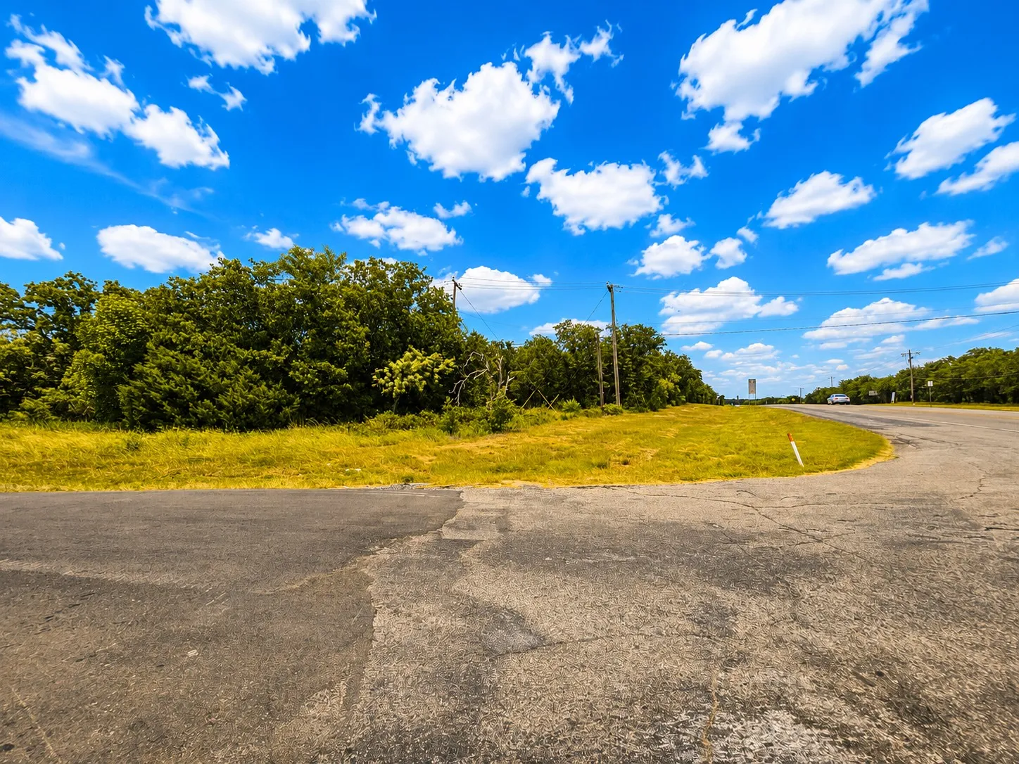 Expansive undeveloped land with abundant mature trees and natural vegetation