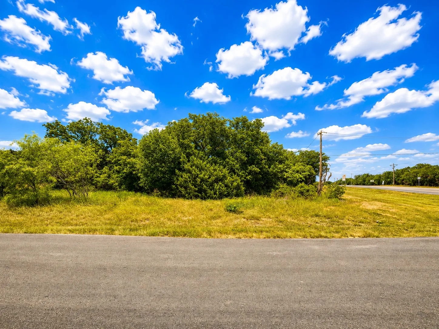 Expansive parcel featuring a paved road frontage, mature trees, natural vegetation, and open grassy areas