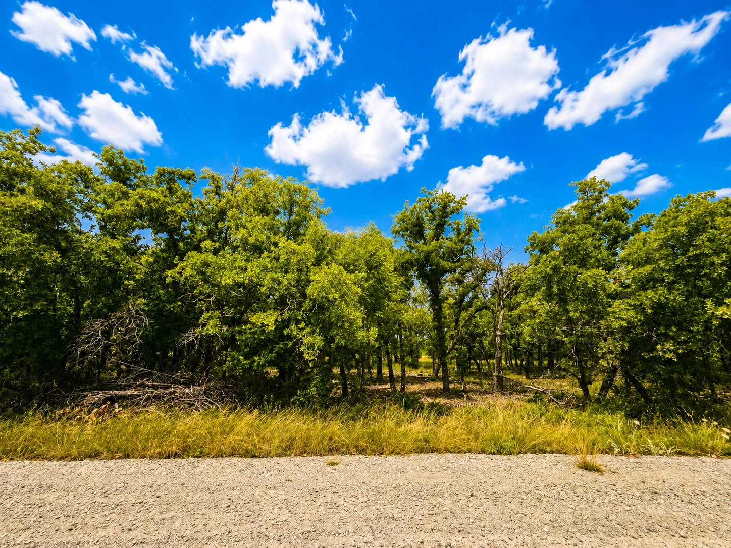 Natural wooded acreage with mature trees and a gravel road frontage