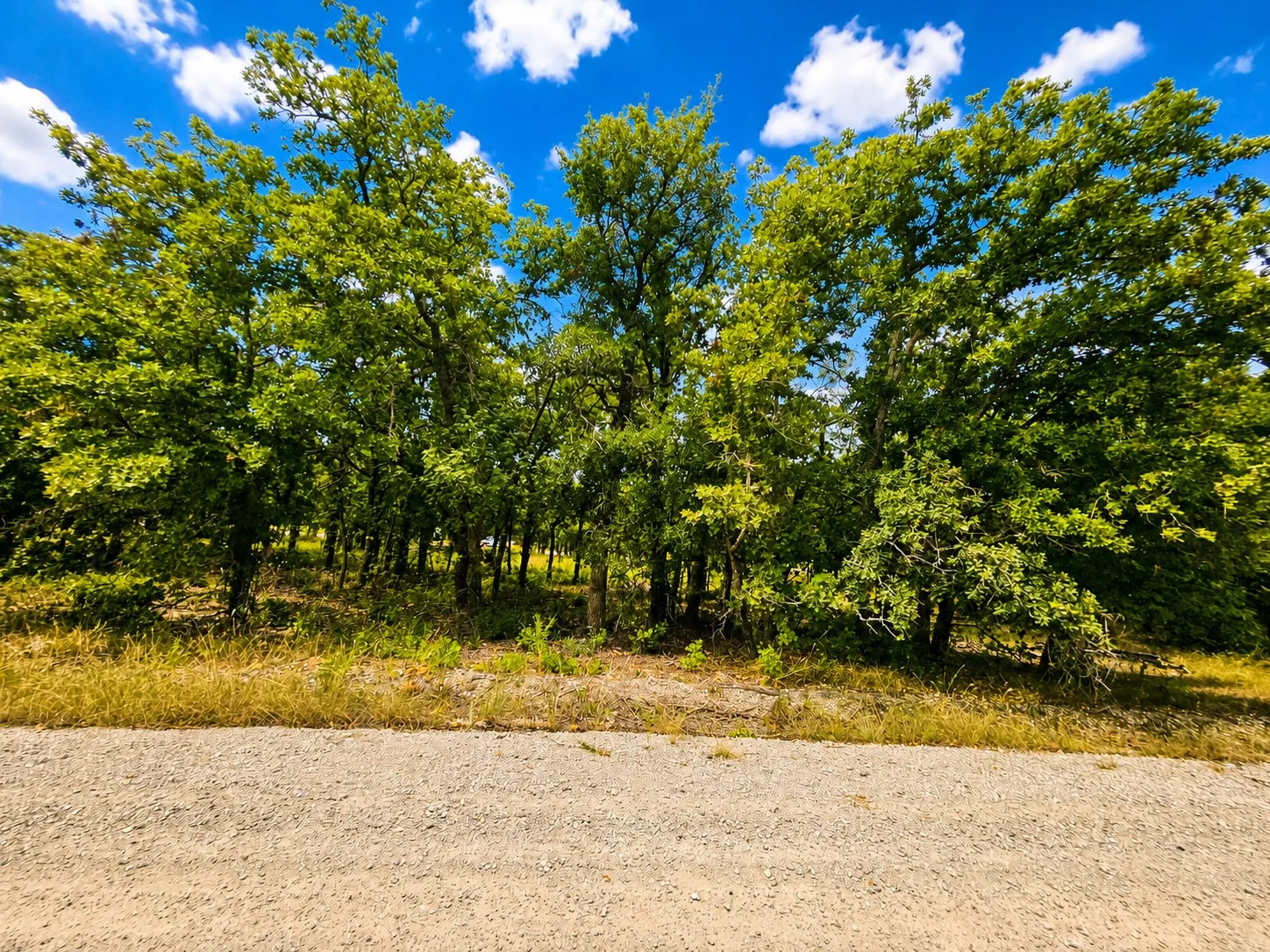 Unimproved Land For Sale in Wise County , 0000 Martins Lane 6, Runaway Bay, Texas 76426, 0, 0, Garage spaces, 0 Sqft, built in 0, Price $250,000, mls#21321526, Real Estate Agent in Runaway Bay, Homes For Sale in Wise county, Homes For Sale in Runaway Bay, Realtor in Runaway Bay Texas, Real Estate Brokerage Independent Realty Texas, Luminita Cordes Realtor