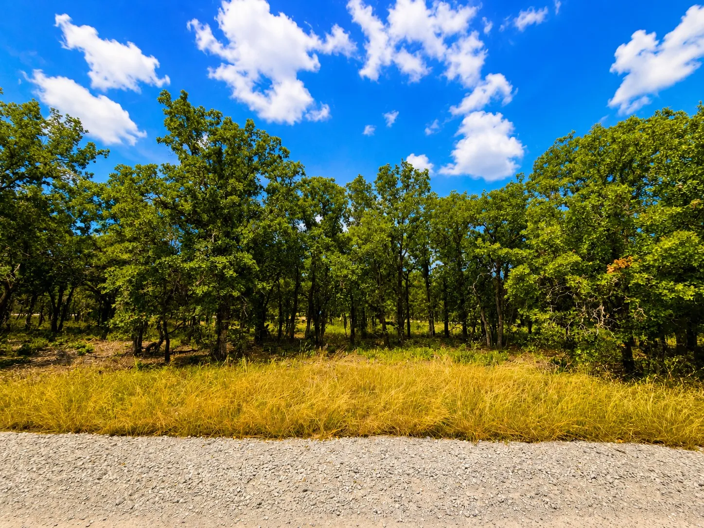 Wooded parcel featuring mature green trees, golden grasses, and a bright blue sky with scattered clouds